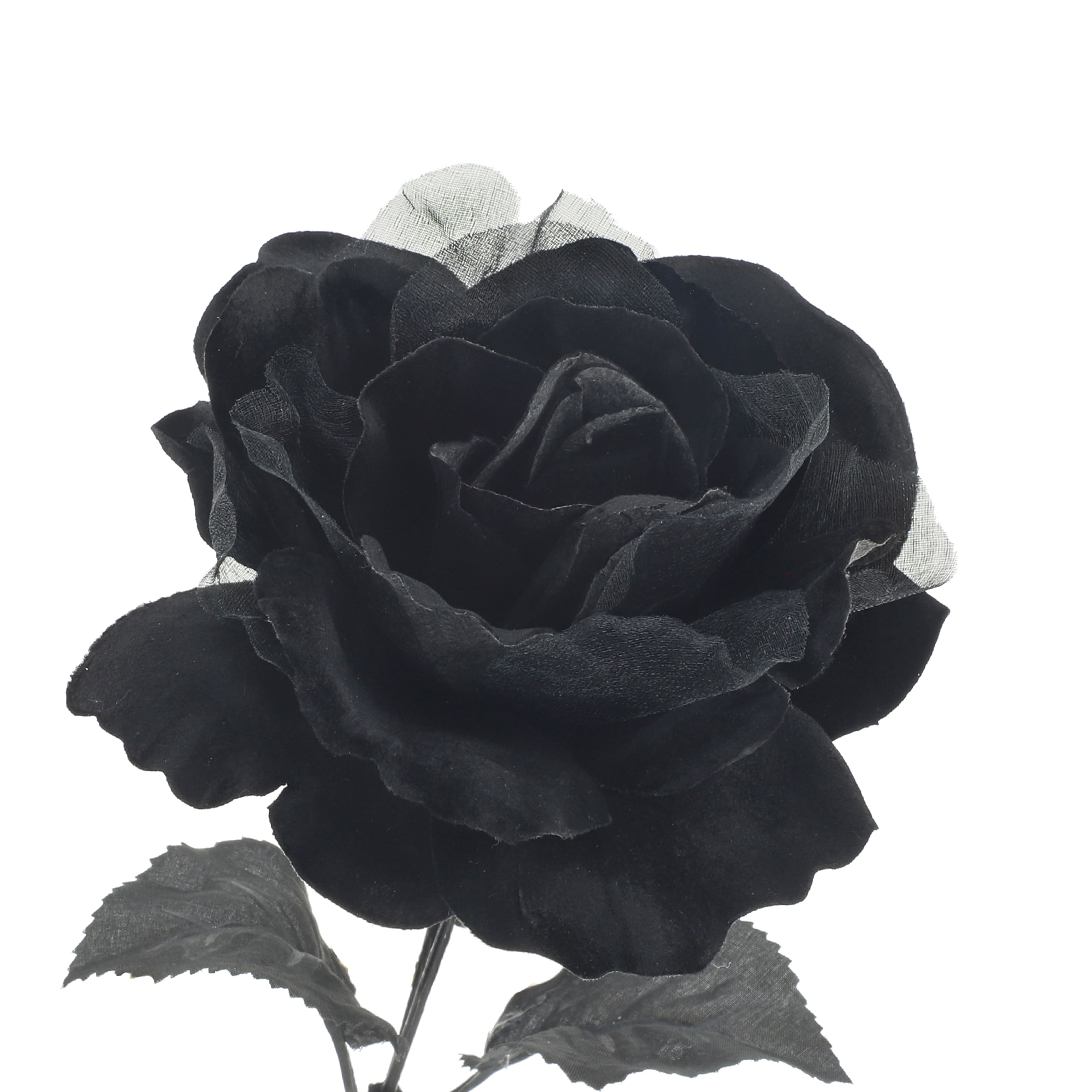 17.5&#x22; Black Rose Bush by Ashland&#xAE;