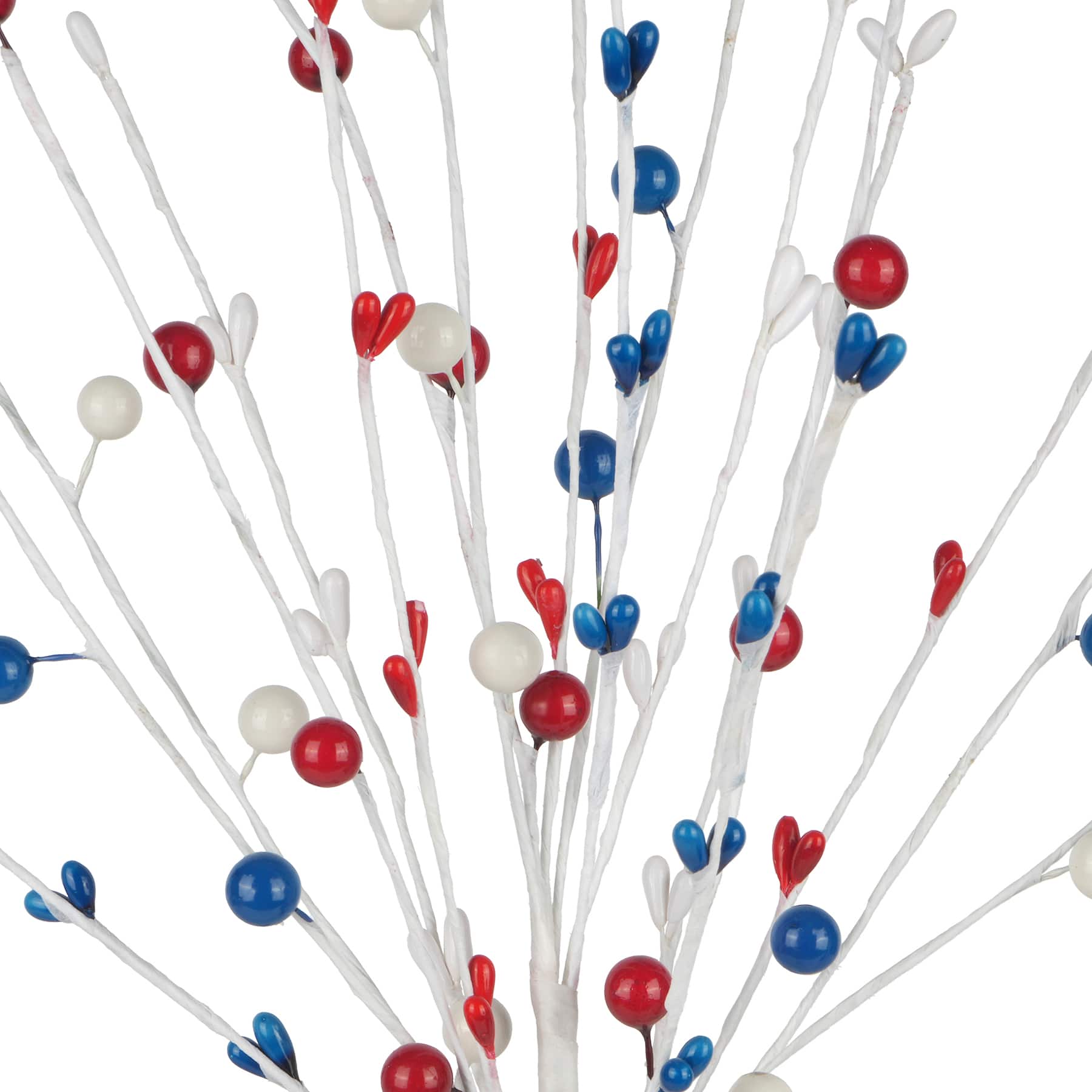 Red, White &#x26; Blue Berry Pick by Celebrate It&#x2122;