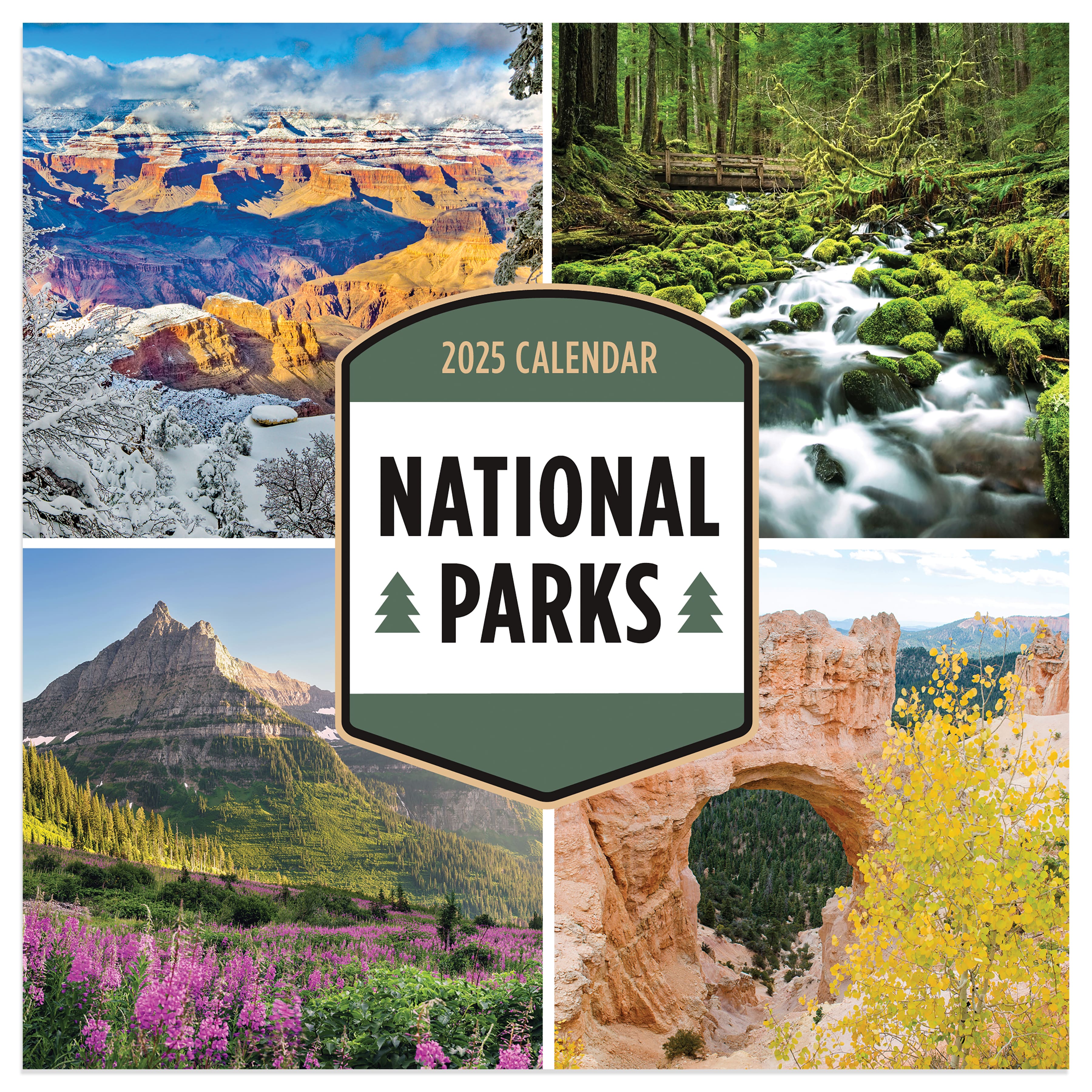 TF Publishing 2025 National Parks Mini Calendar Michaels