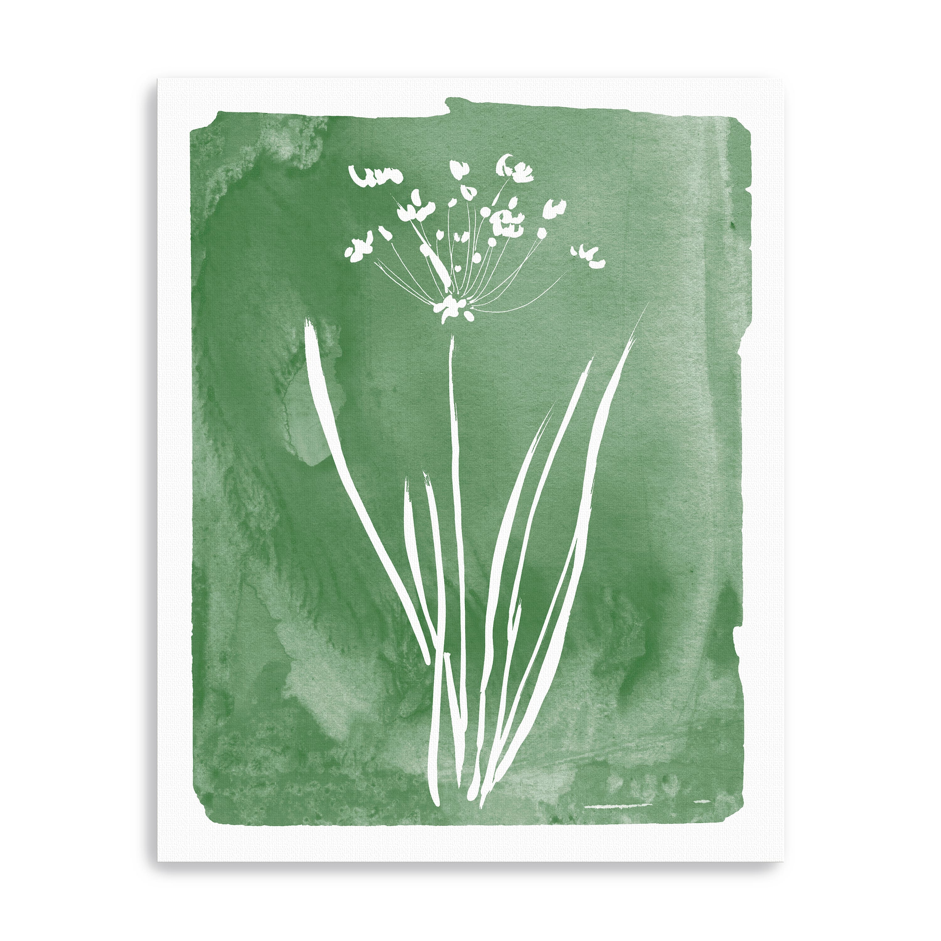 Green Botanical II Canvas Giclee