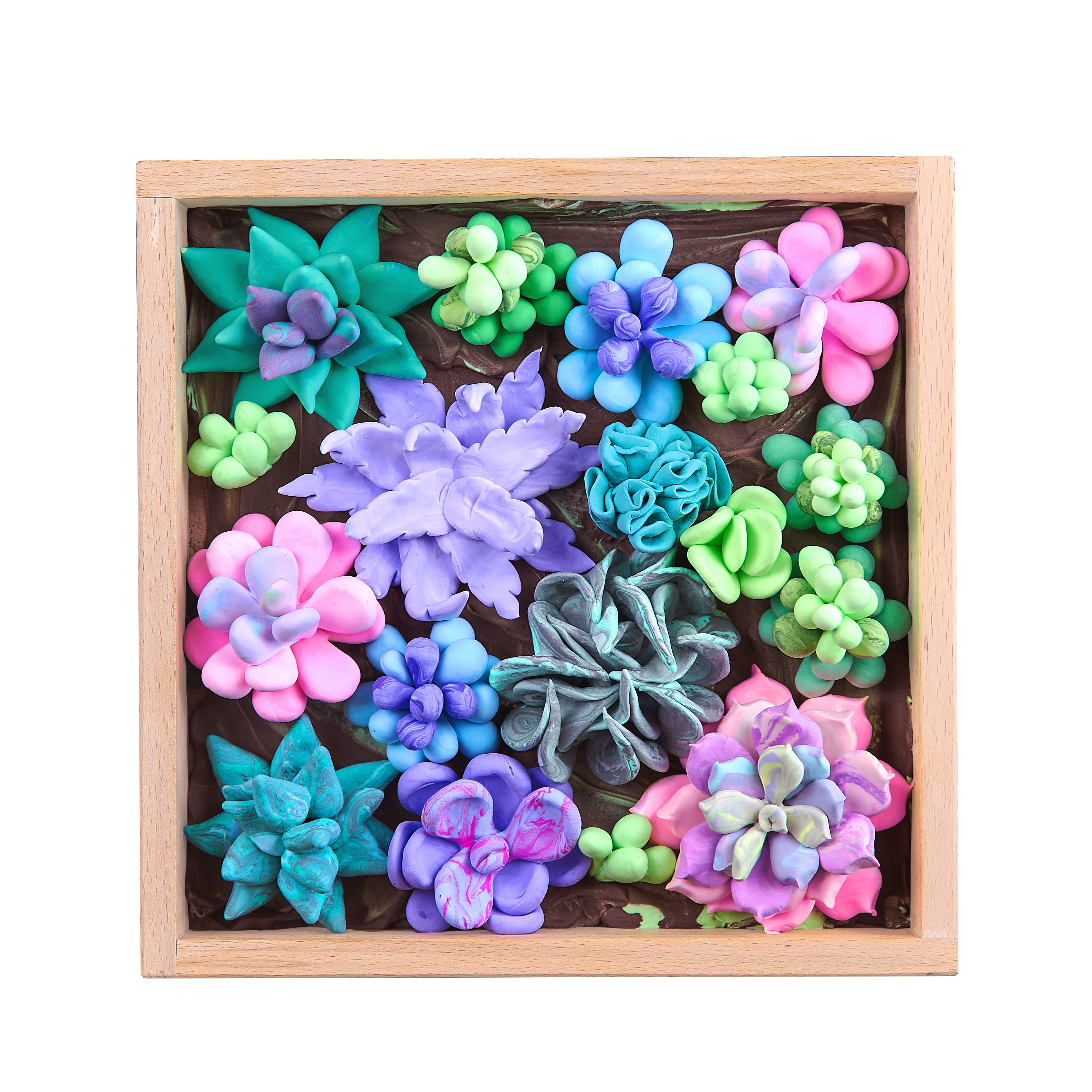 OKTO DIY Wood &#x26; Craft Tenderness Succulents Clay Kit