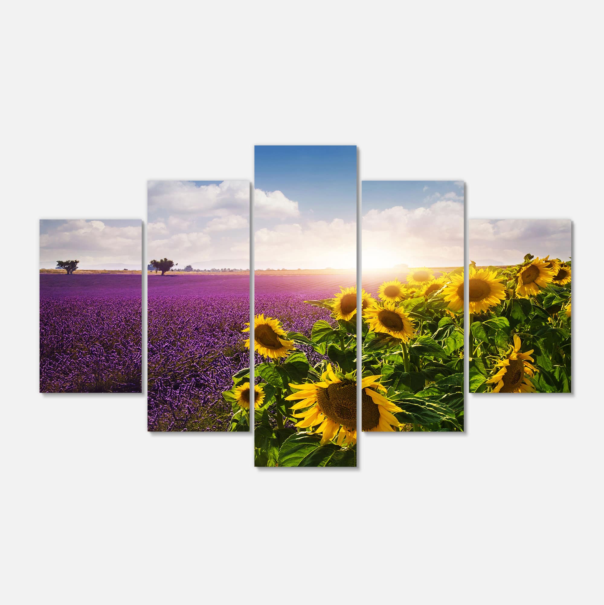 Designart - Lavender and Sunflower Fields - Large Floral Canvas Art Print
