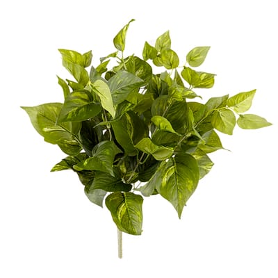Ashland® Real Touch™ Collection Pothos Bush image