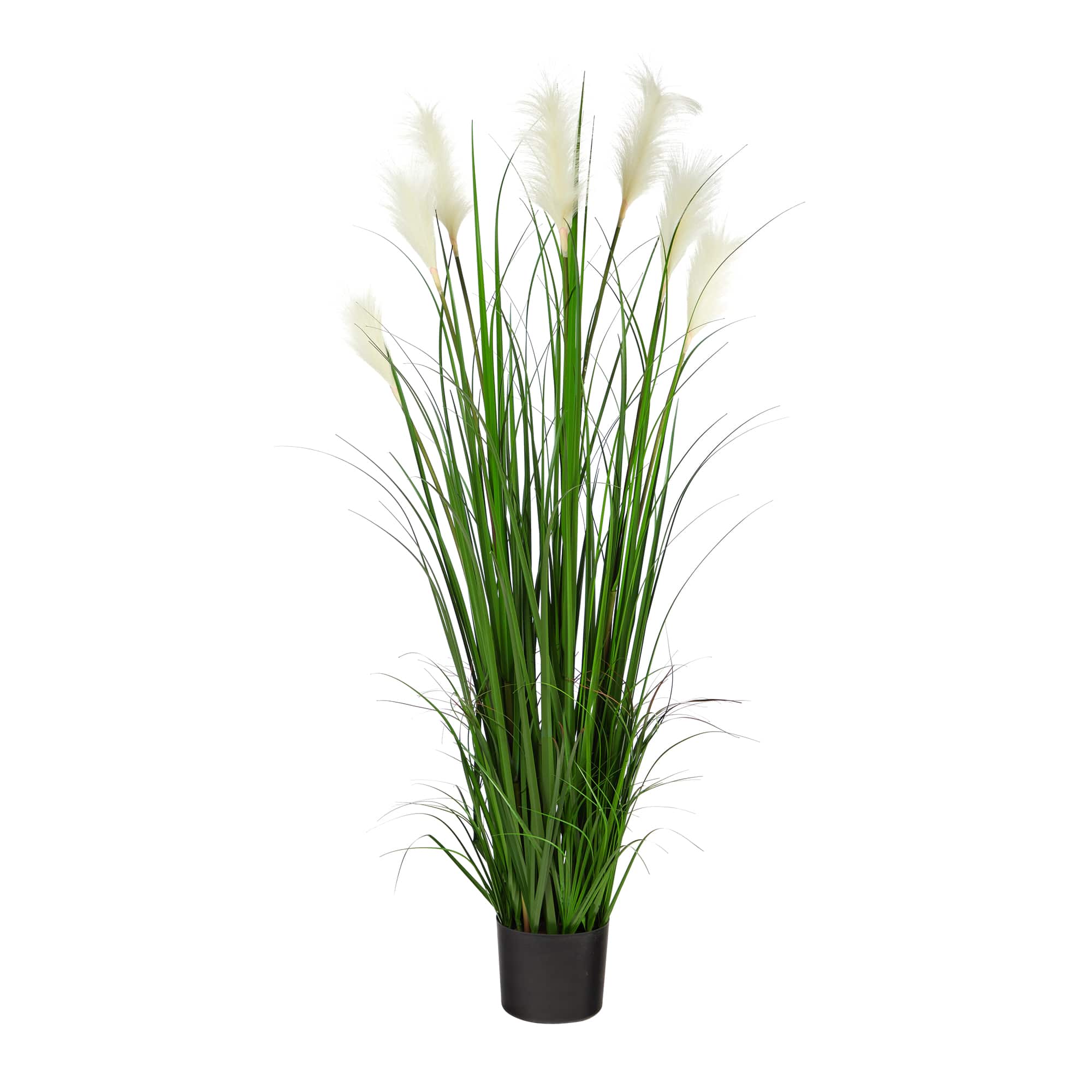4.5ft. Potted Plume Grass