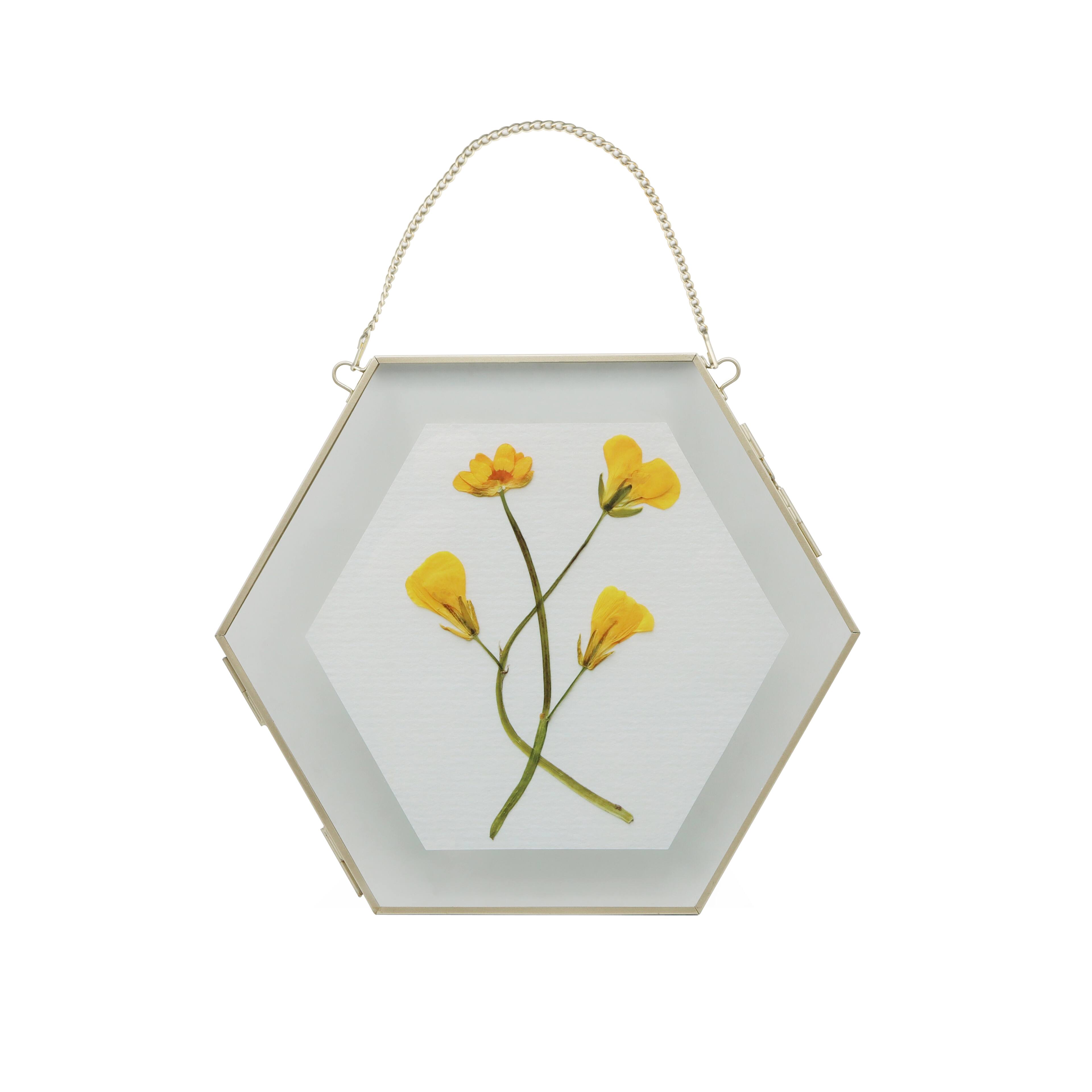 Large Gold Flowers Glass Hexagon Frame Accent by Ashland®