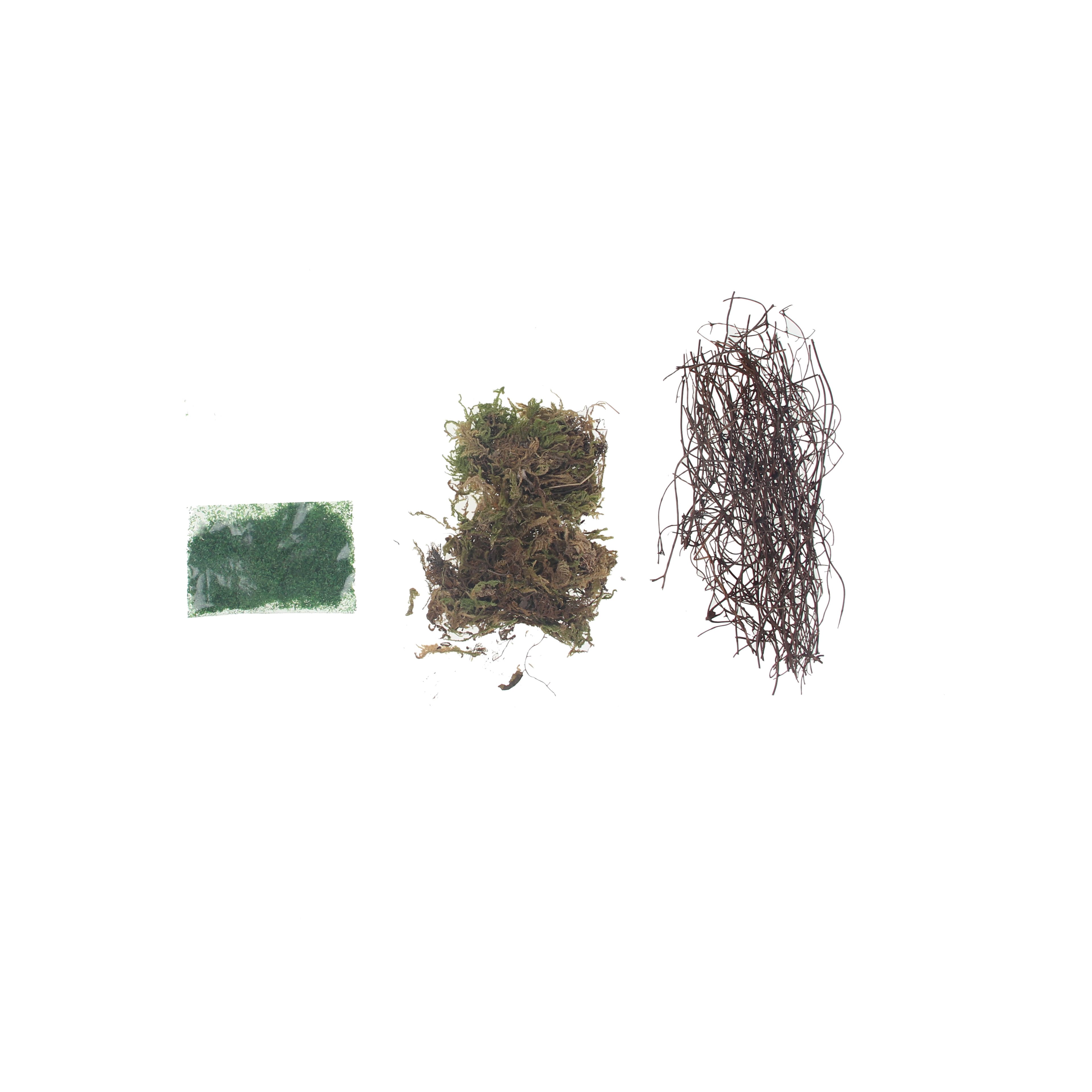 Greenhouse Diorama Kit by Make Market&#xAE;