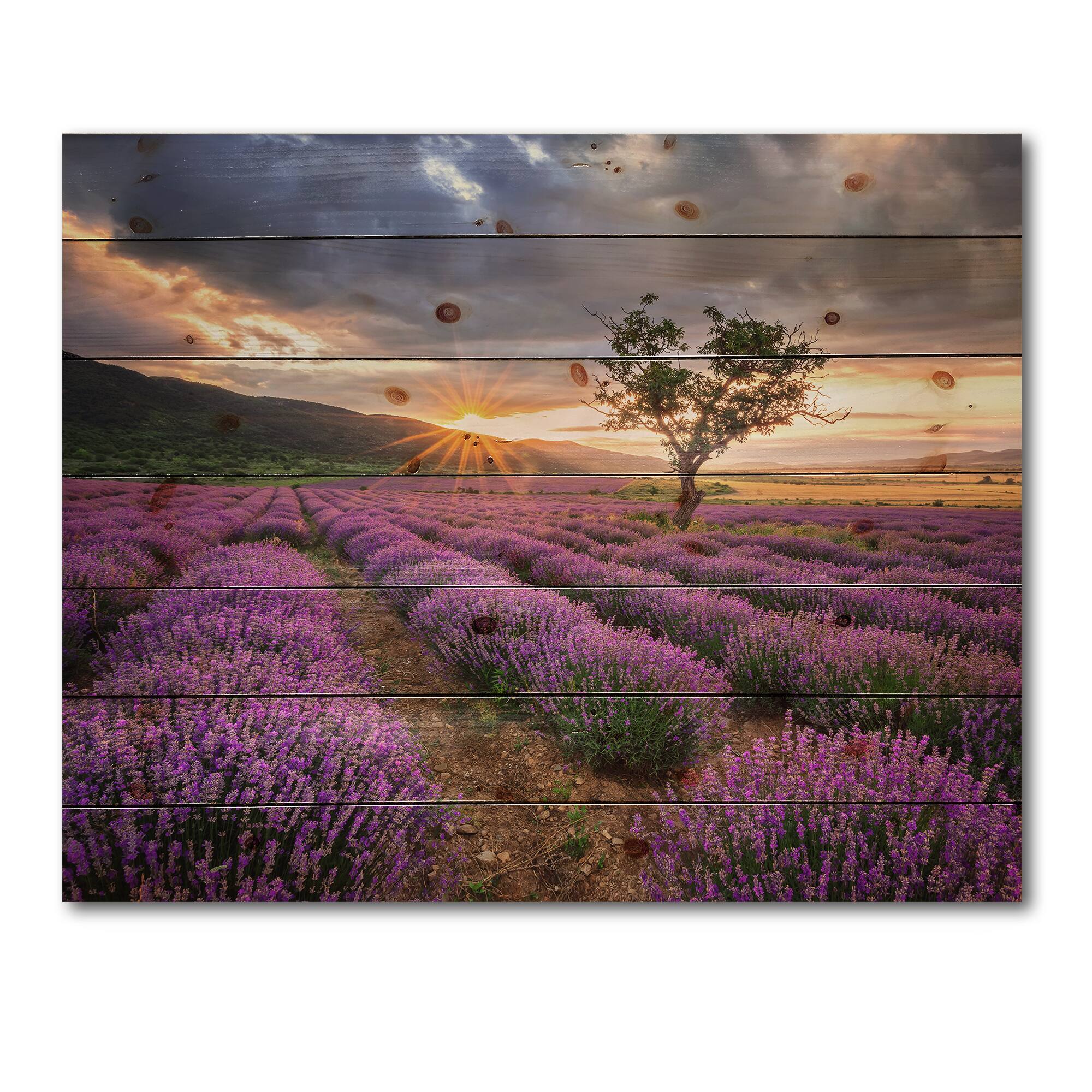 Designart - Sunrise &#x26; Dramatic Clouds Over Lavender Field VIII - Farmhouse Print on Natural Pine Wood