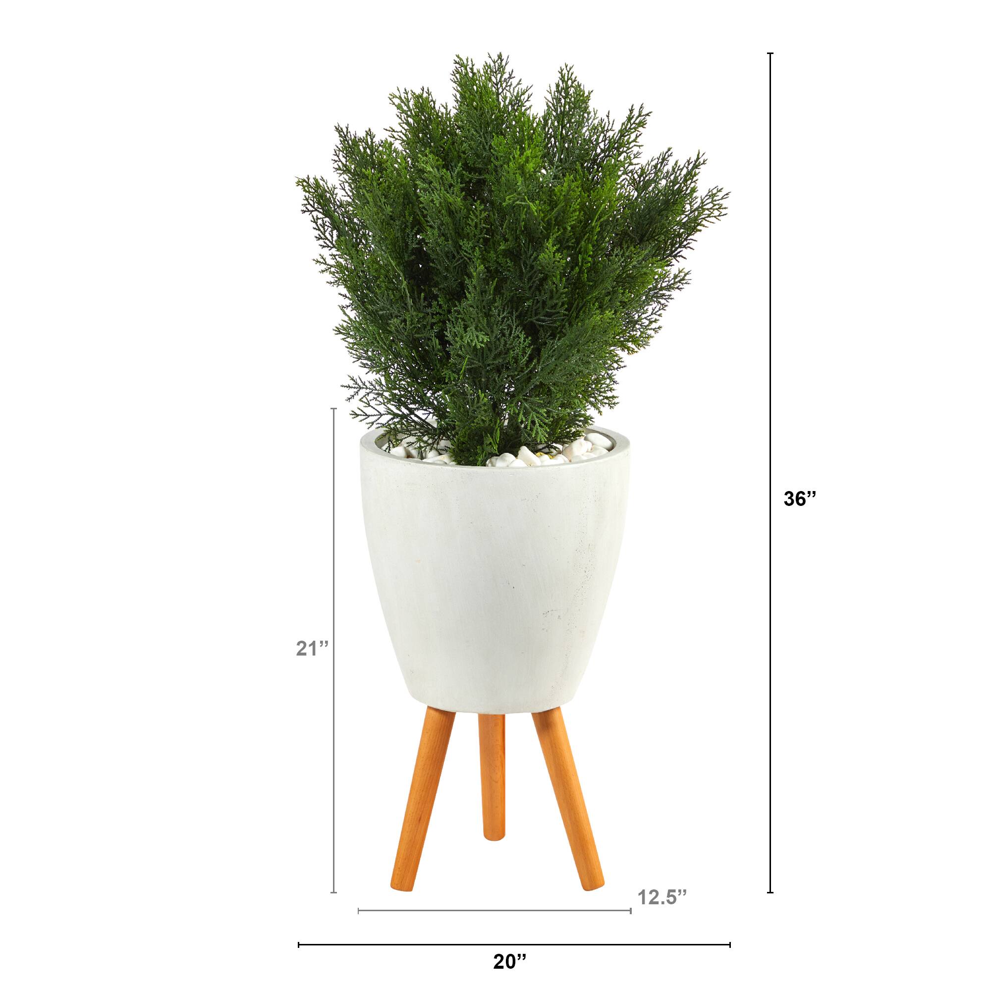 3ft. Cedar Tree in White Planter with Stand