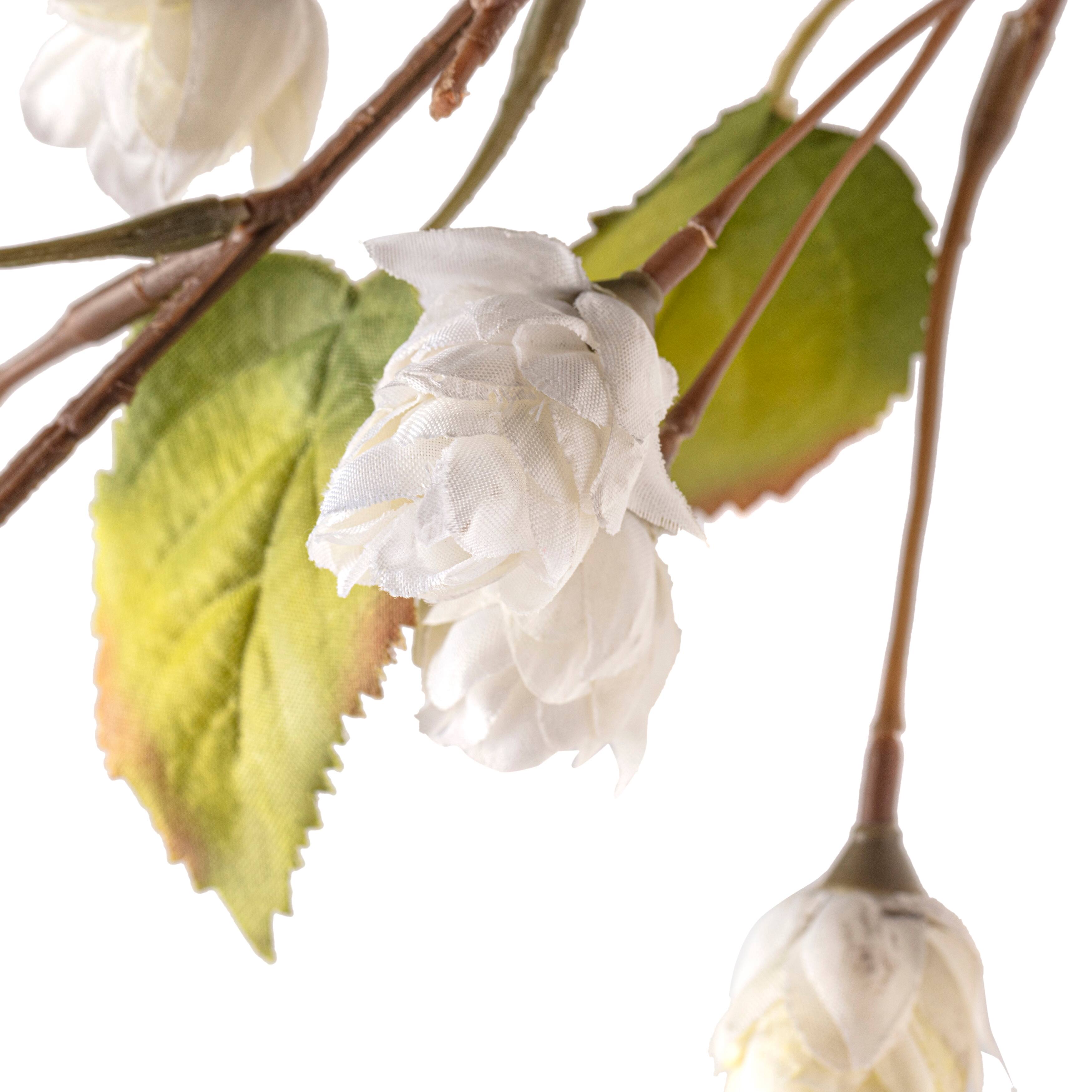 12 Pack: Cream Hops Spray by Ashland&#xAE;