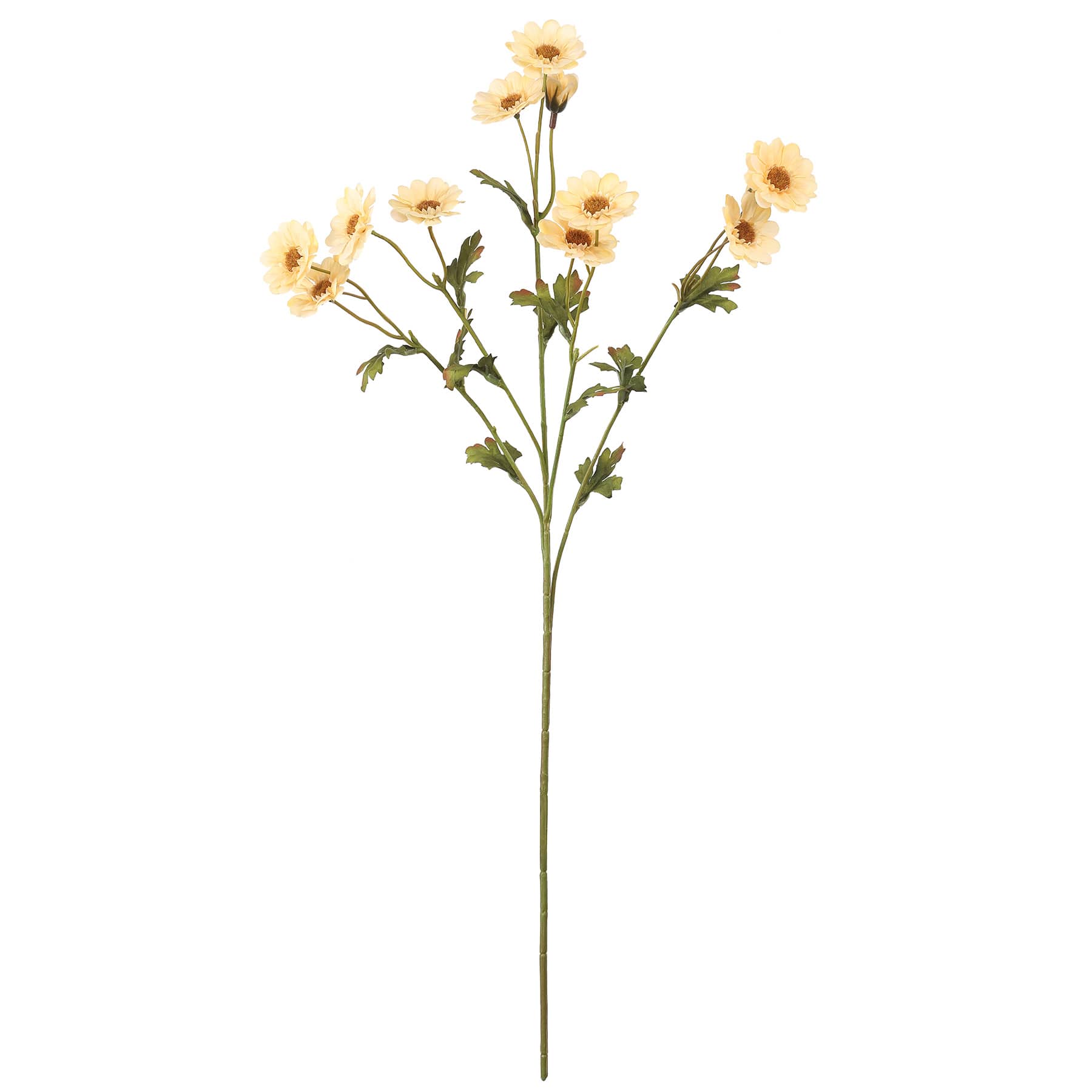 27&#x22; Mini Daisy Stem by Ashland&#xAE;