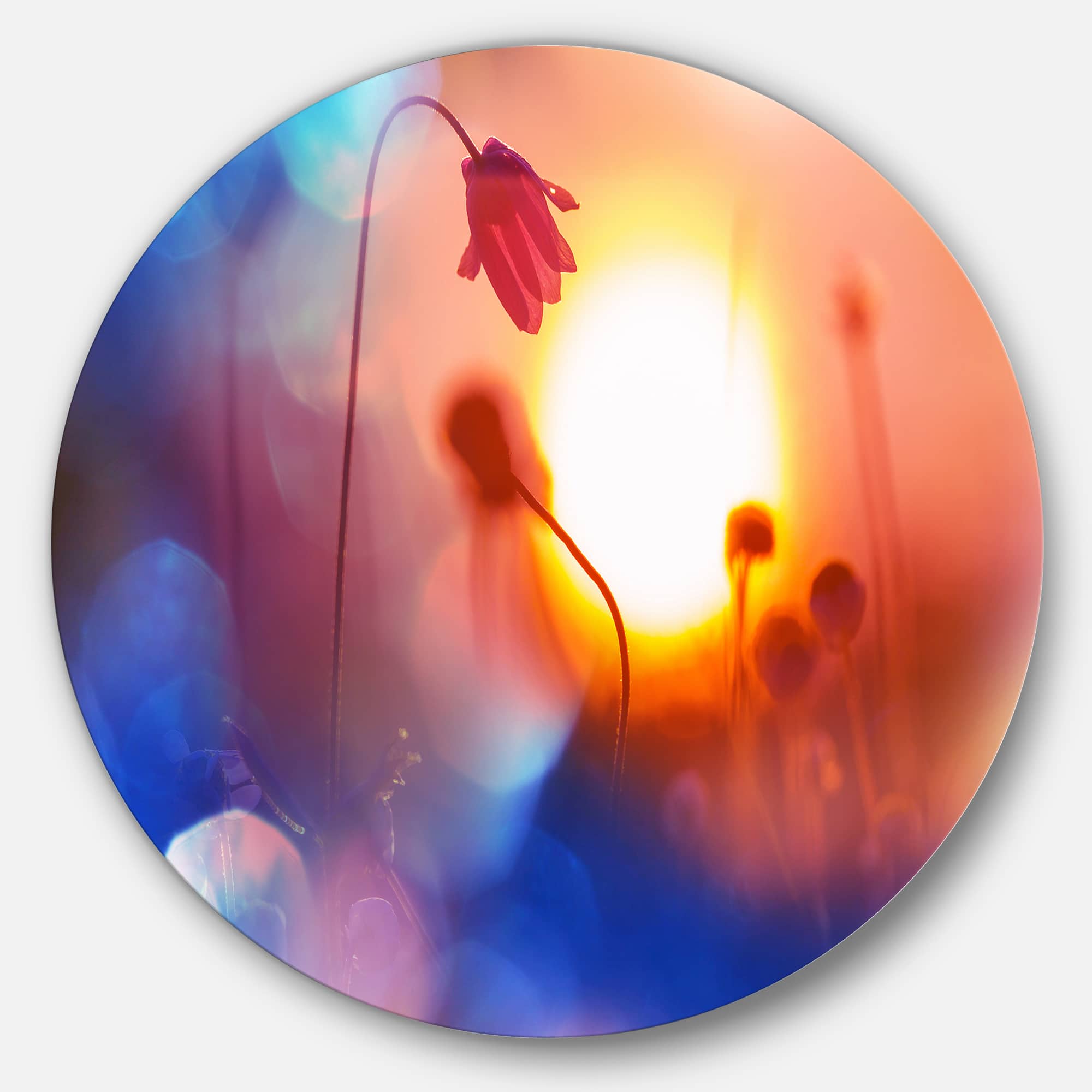 Designart - Beautiful Blurred Flowers At Sunset' Floral Metal Circle Wall Art