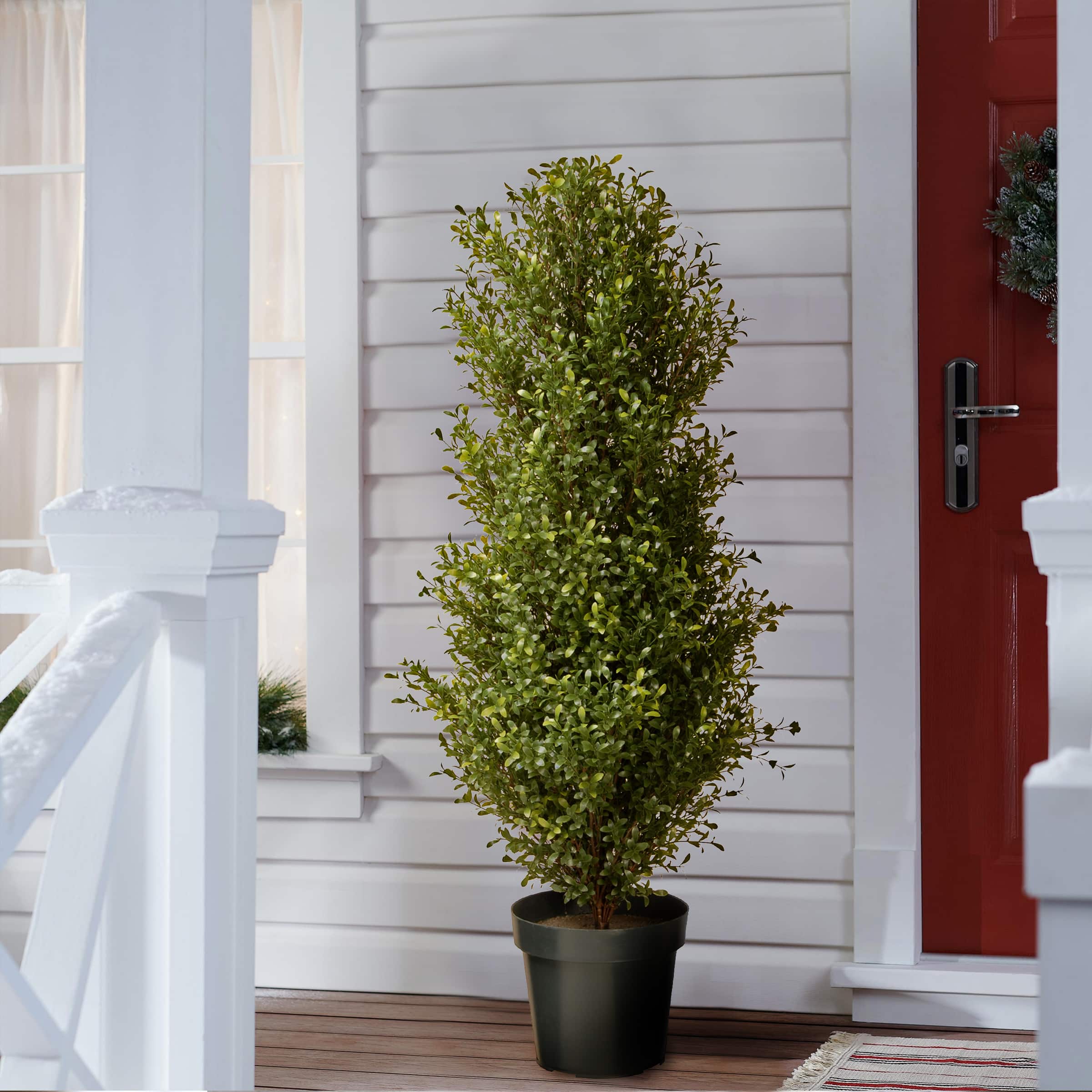 48&#x22; Argentea Plant with Green Pot