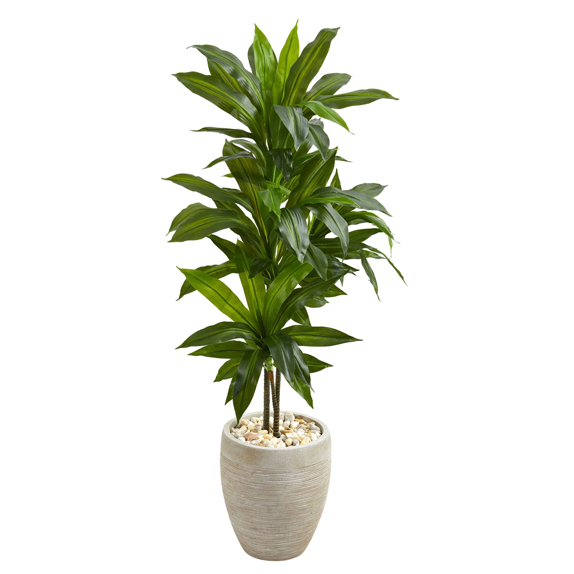 4Ft Dracaena Plant in Sand Colored Planter By Nearly Natural | Michaels®