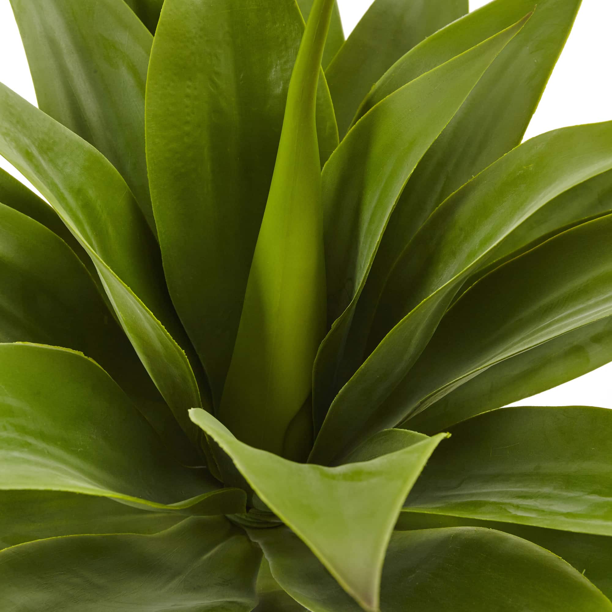 Green Large Agave Pick