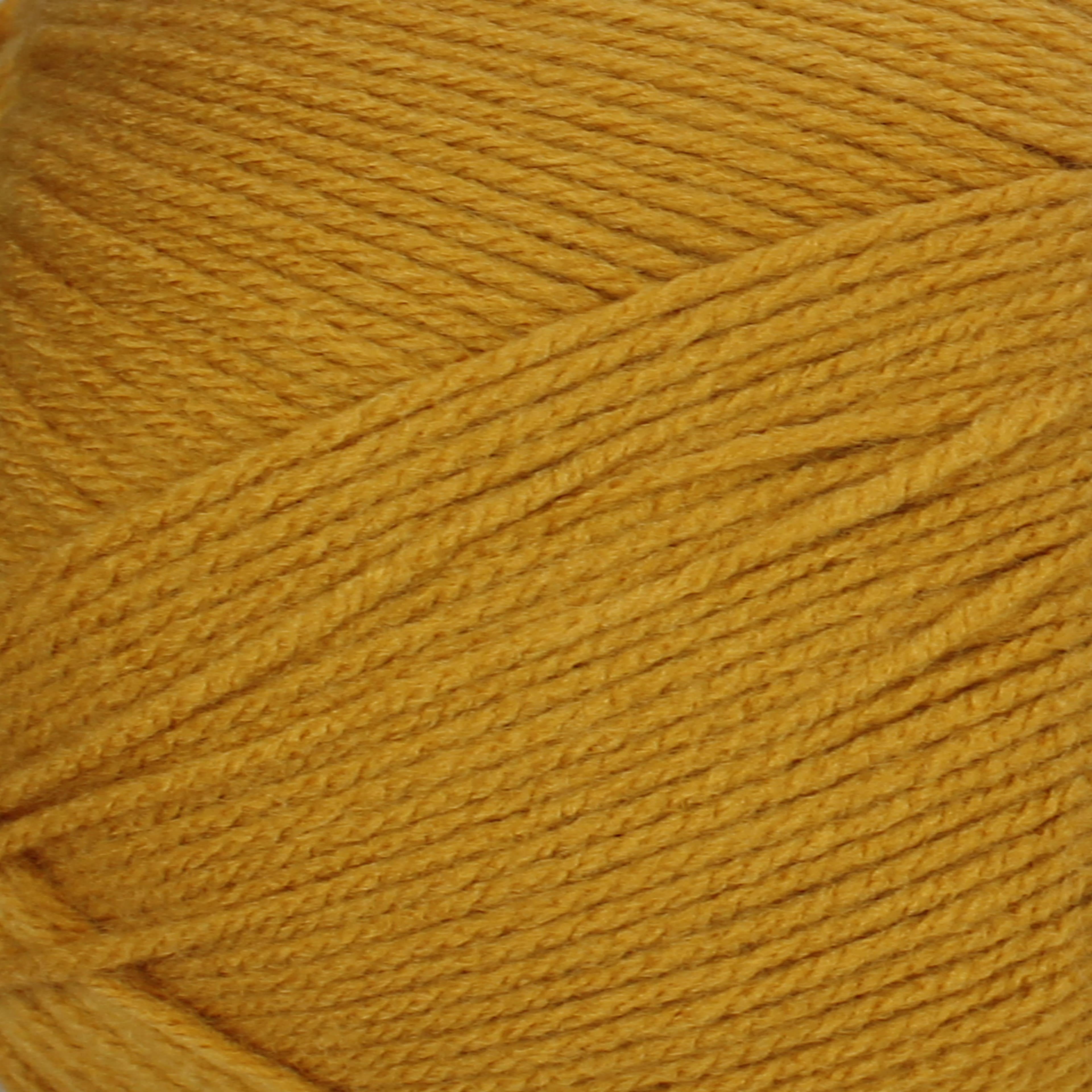 Big Twist&#xAE; Value Pound+ Yarn