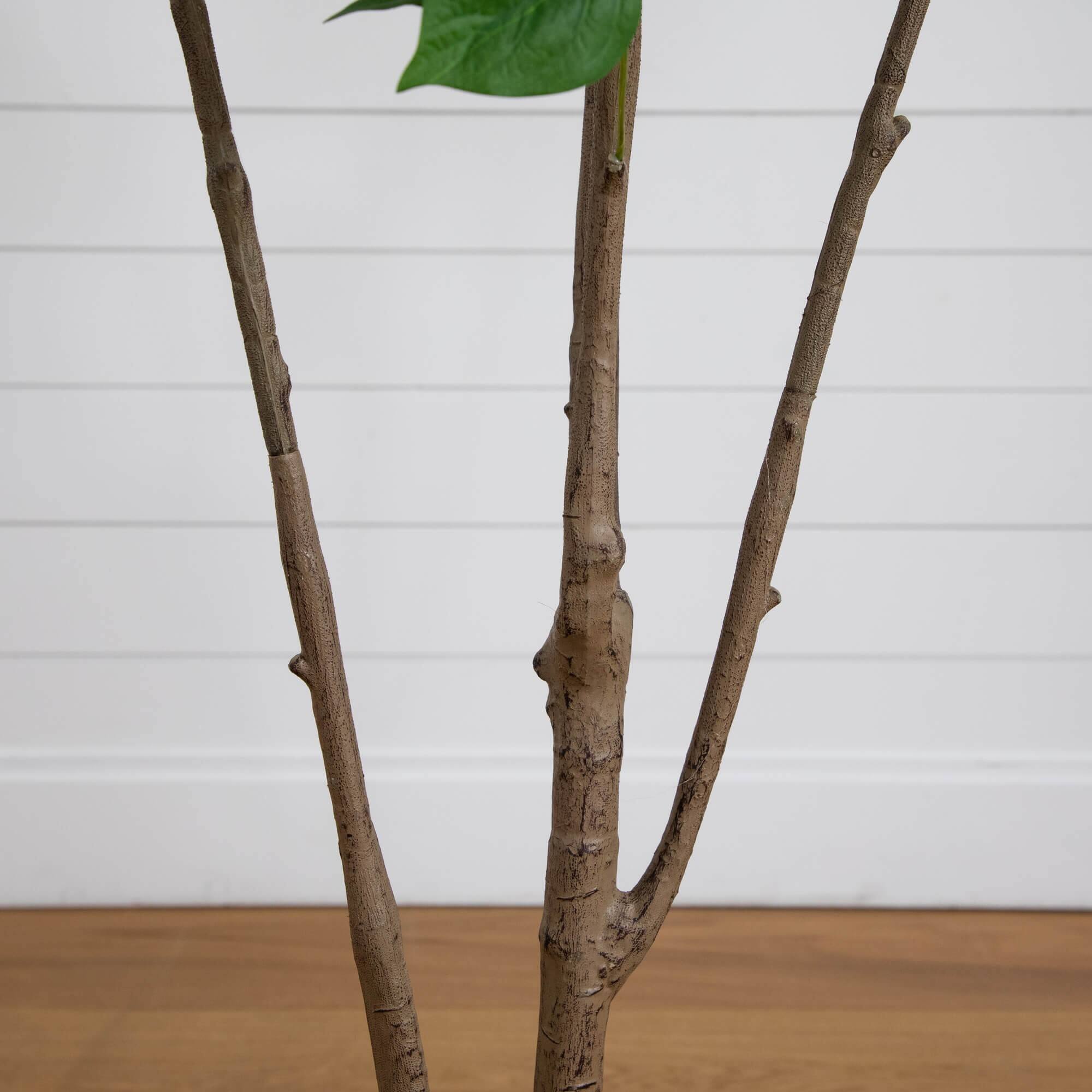 6ft. Potted Pink Minimalist Bougainvillea Tree