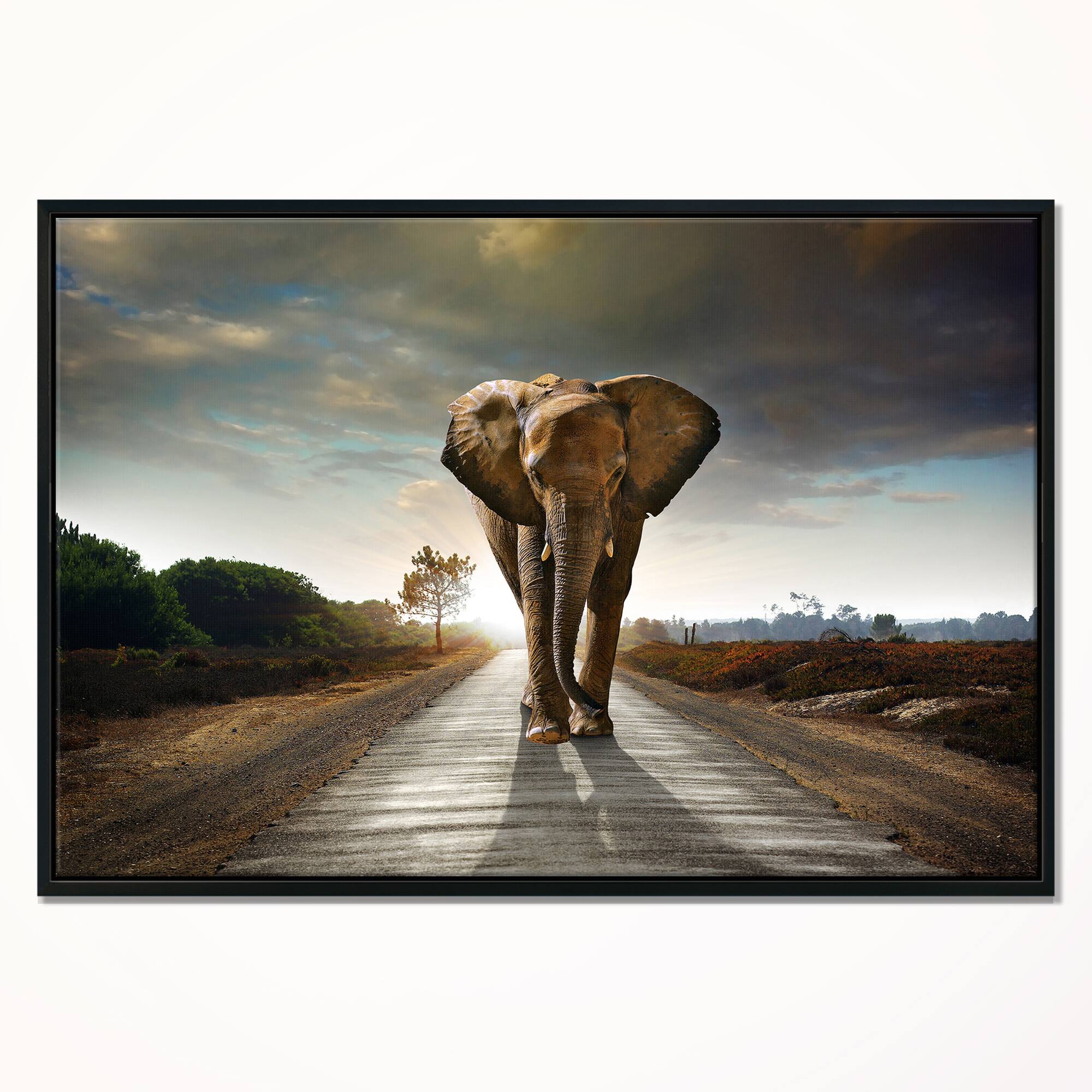 Designart - Single Walking Elephant - Photography Framed Canvas Art Print