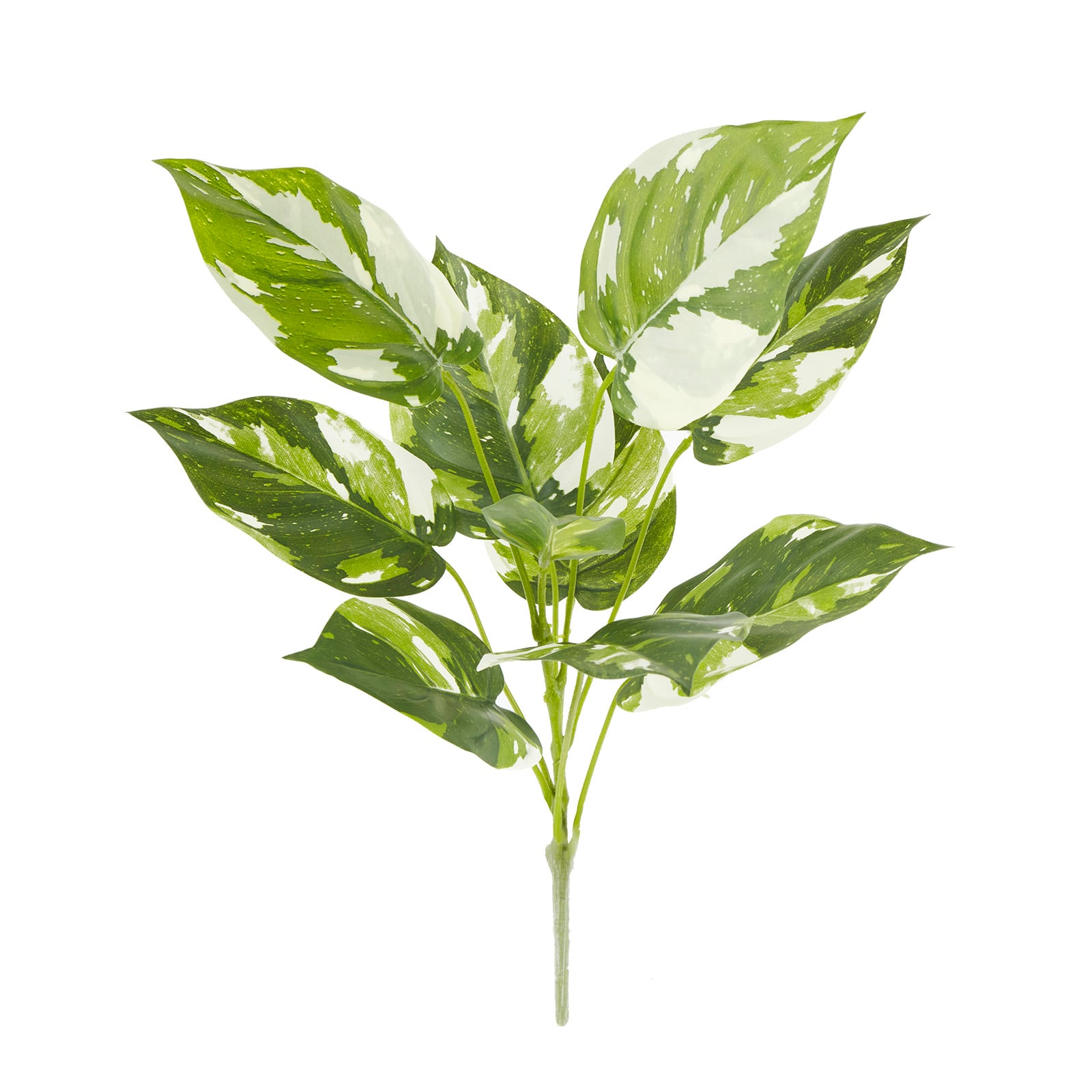 Green &#x26; White Pothos Bush by Ashland&#xAE;