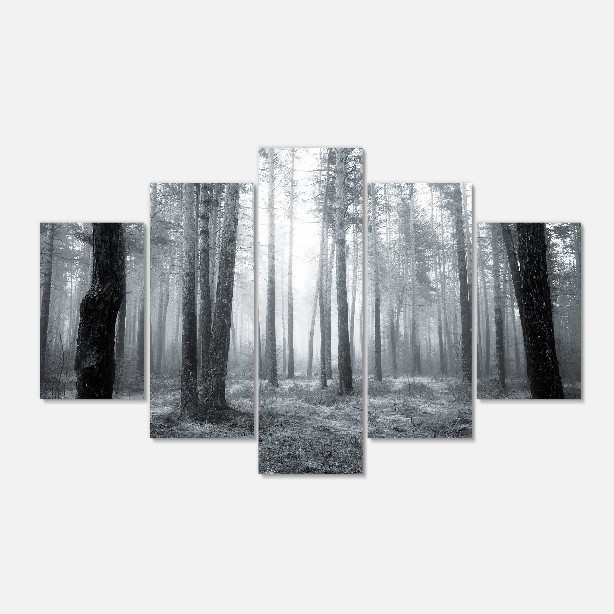 Designart - Black and White Foggy Forest - Forest Canvas Art Print
