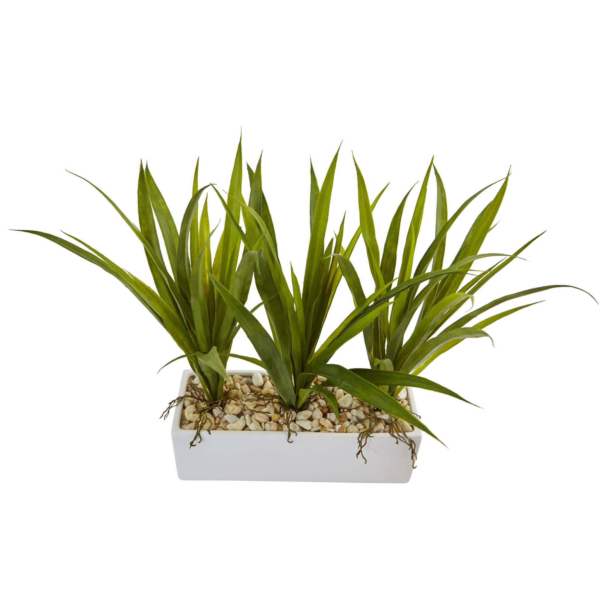 16&#x22; Grass in White Rectangular Planter