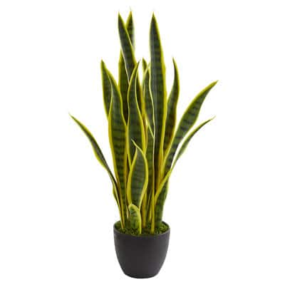 26in. Potted Sansevieria Plant | Michaels