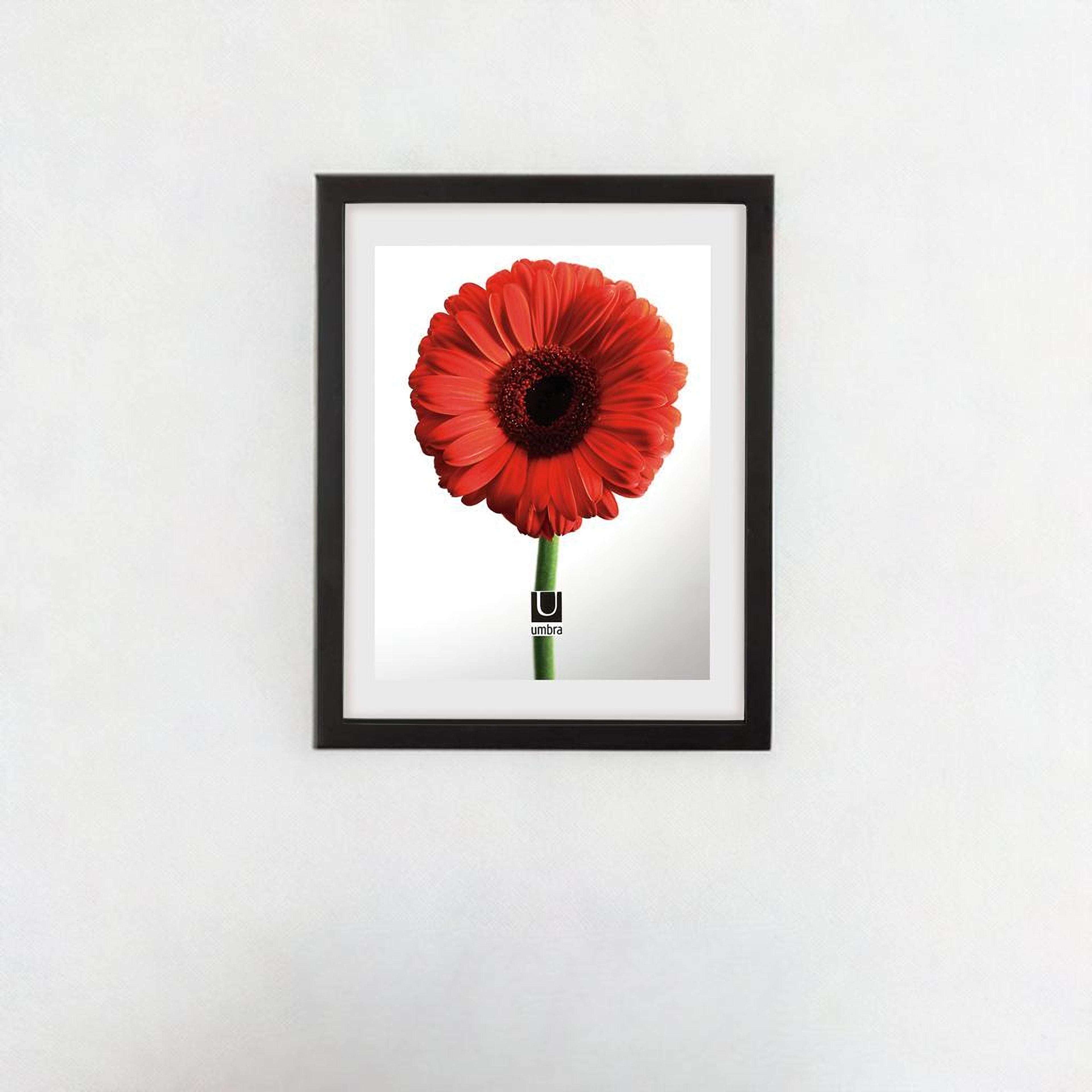 Umbra Black Document 14" x 11" Rectangular Frame