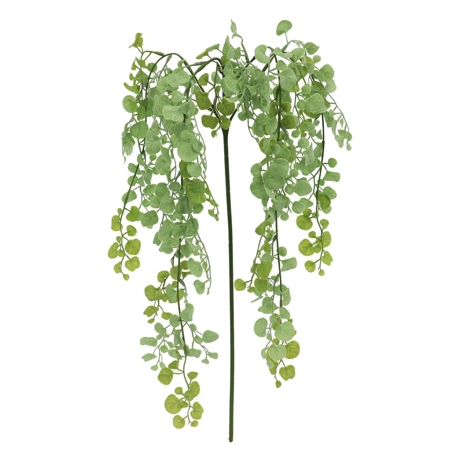 20&#x22; Light Green Hanging Foliage Stem by Ashland&#xAE;