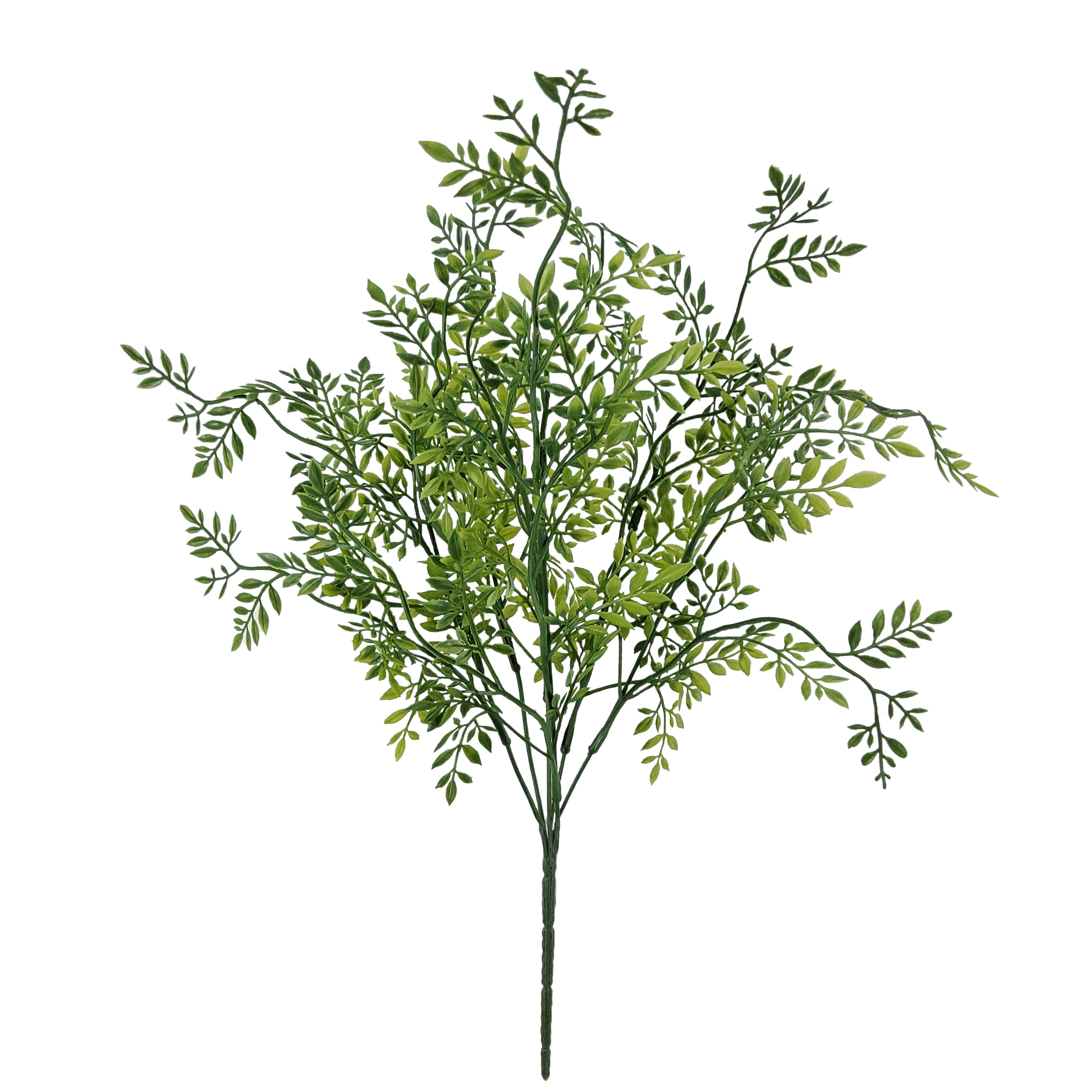 17" Green Ficus Bush by Ashland®