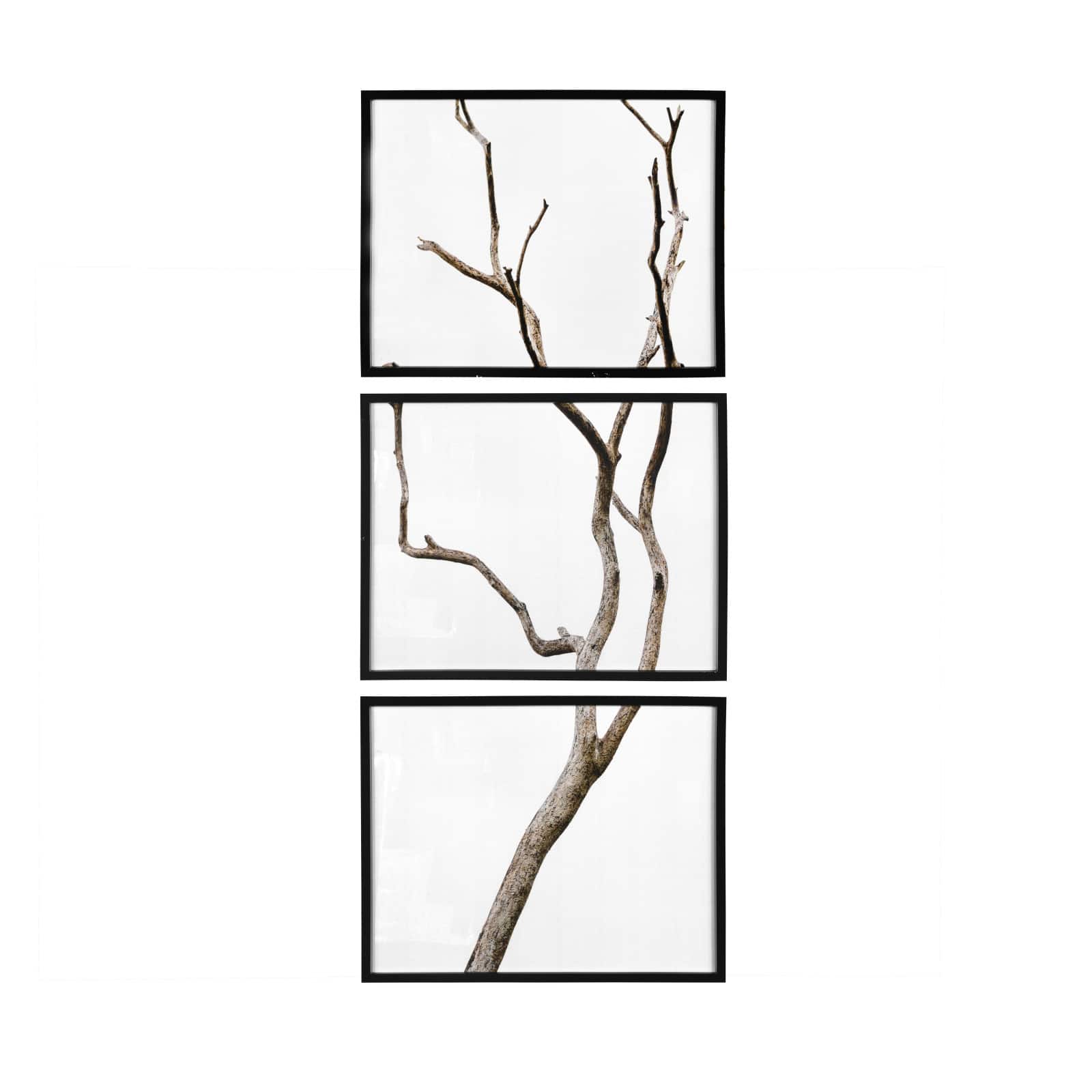 Bare Birch Branch by Ashland®