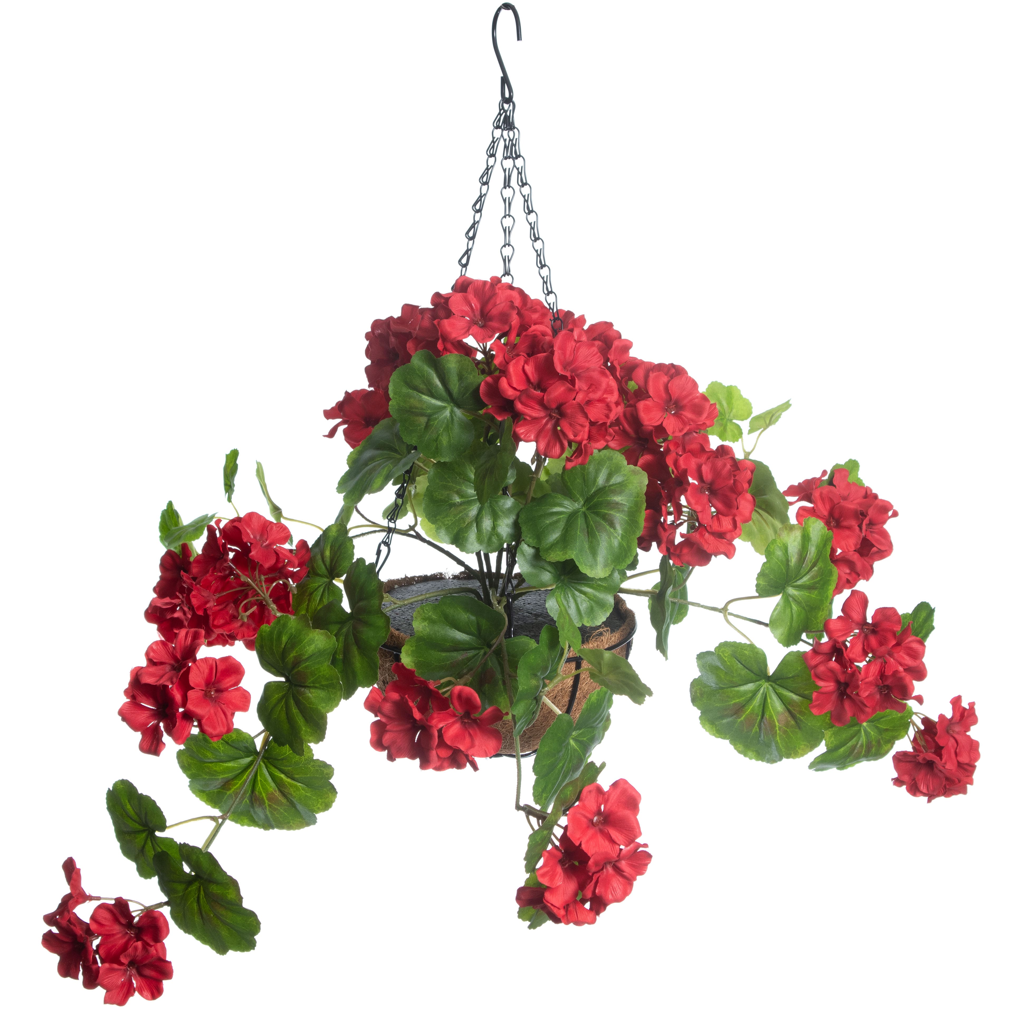 2.25ft. Red Geranium in Hanging Basket by Ashland&#xAE;