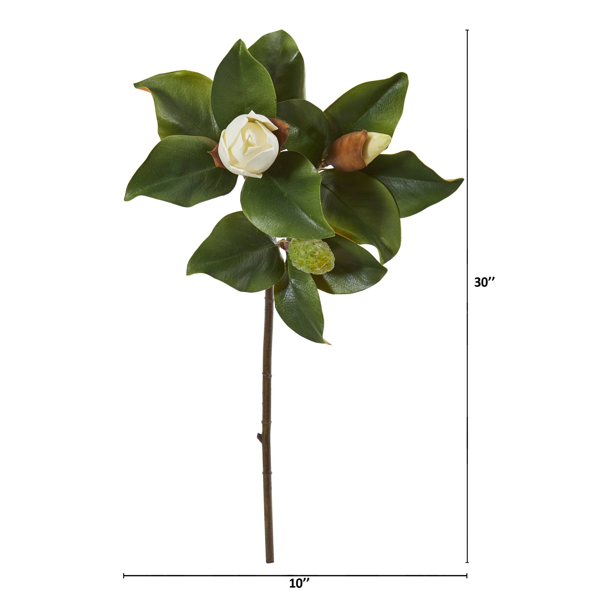 White Magnolia Stem, 4ct. 
