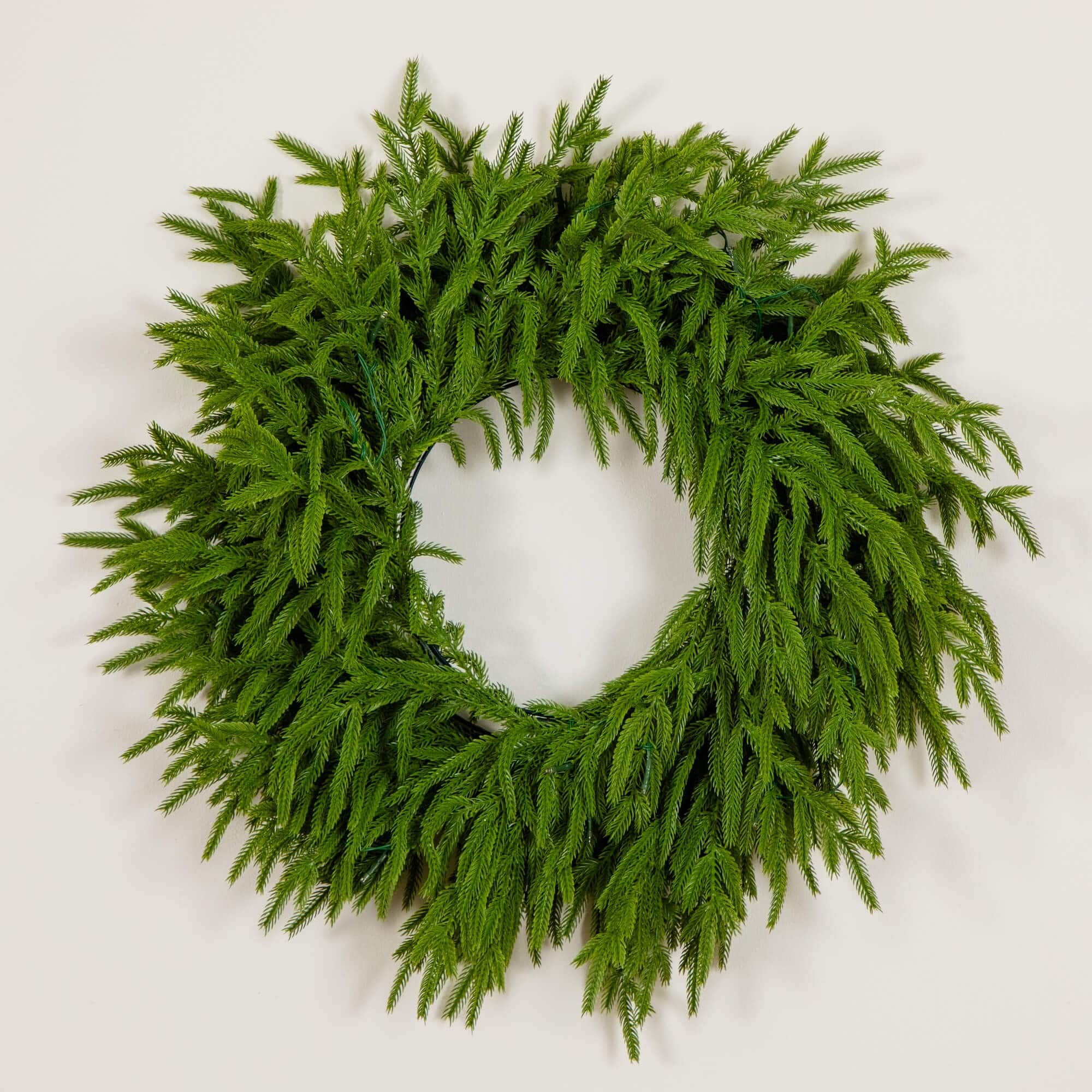 20in. Pre-Lit Artificial Real Touch Norfolk Island Pine Wreath with 35 Warm White LED Lights and Natural Look