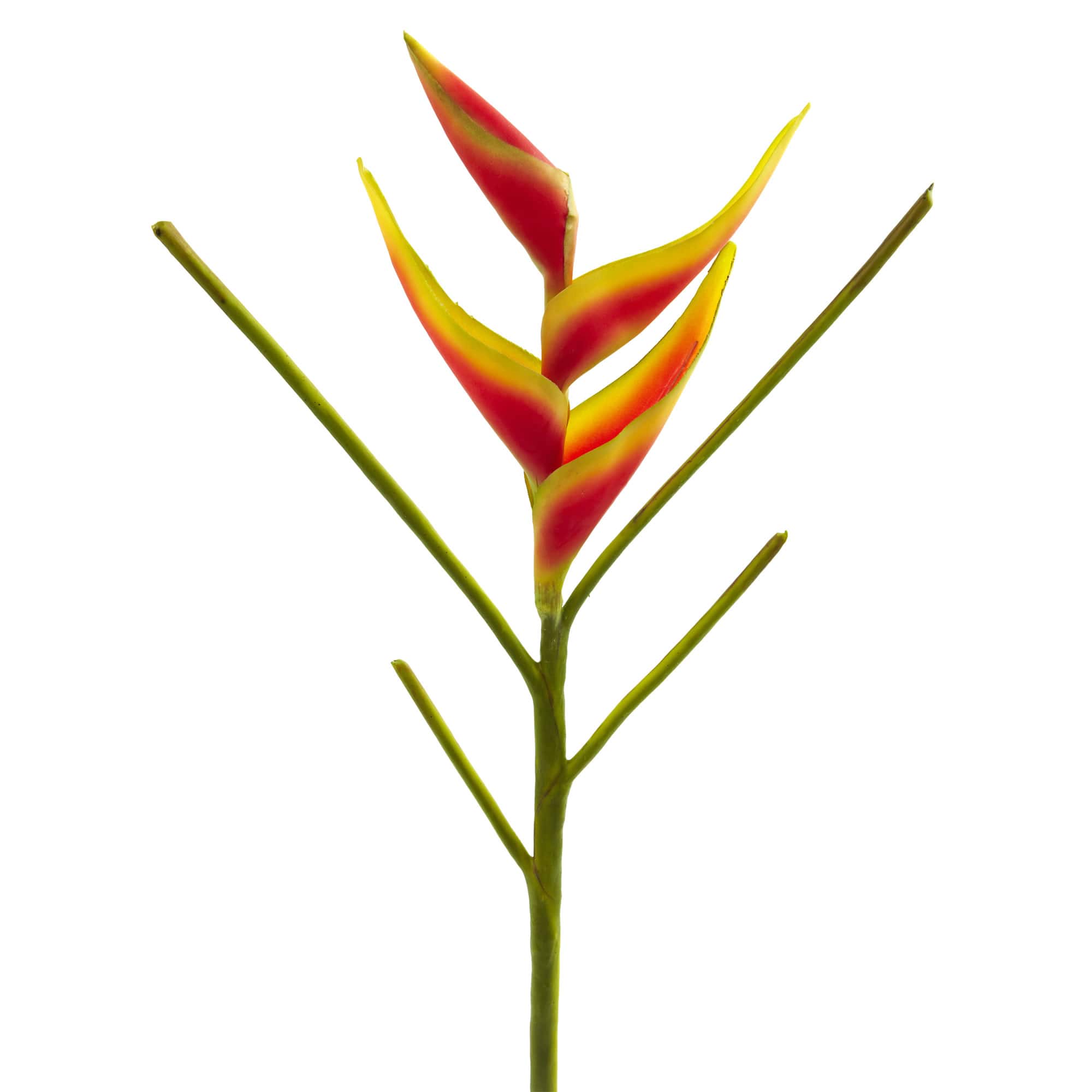 Heliconia Artificial Flower, 4ct.
