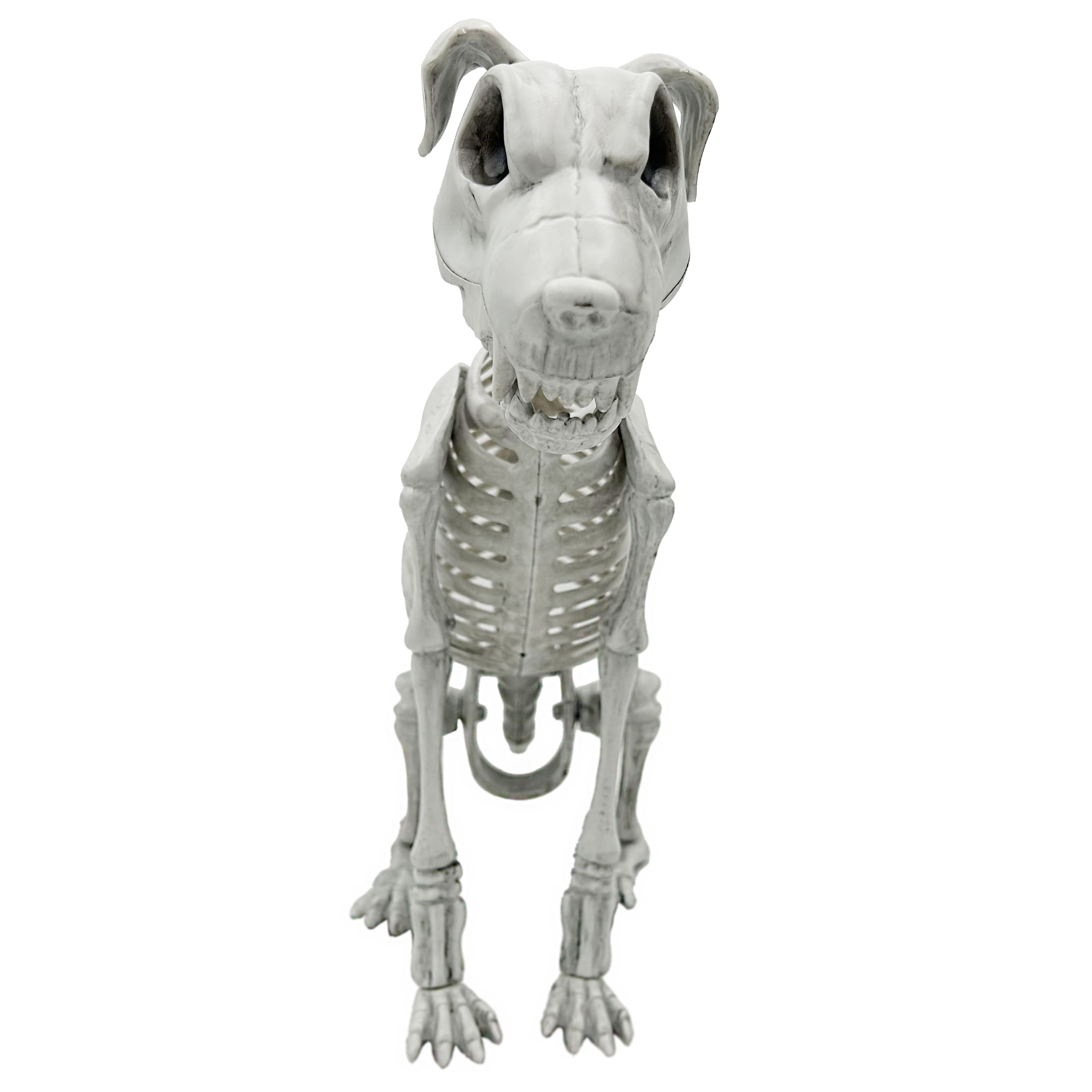 15.75&#x22; Skeleton Dog by Ashland&#xAE;