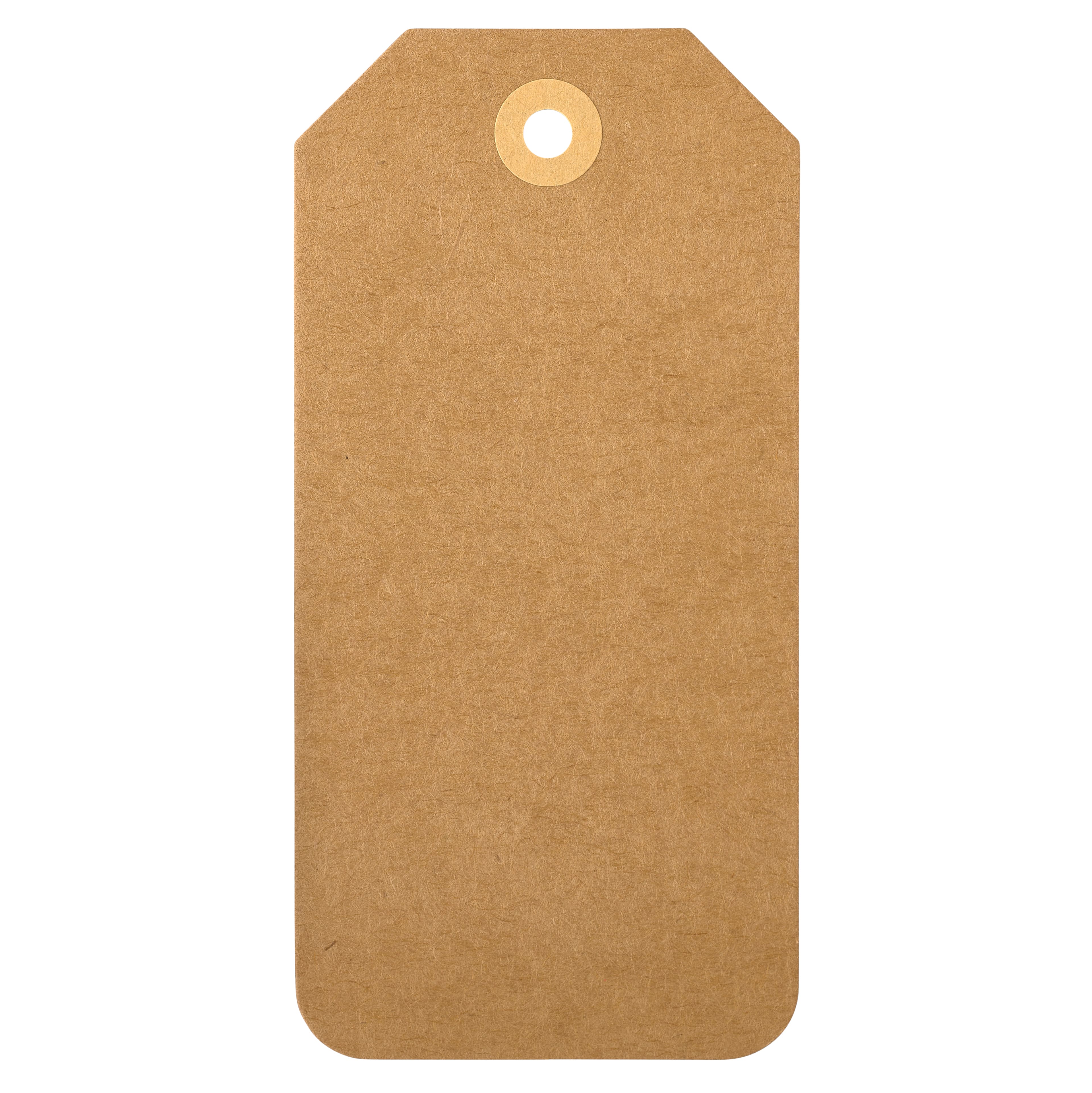 Large Kraft Tags by Recollections&#x2122;