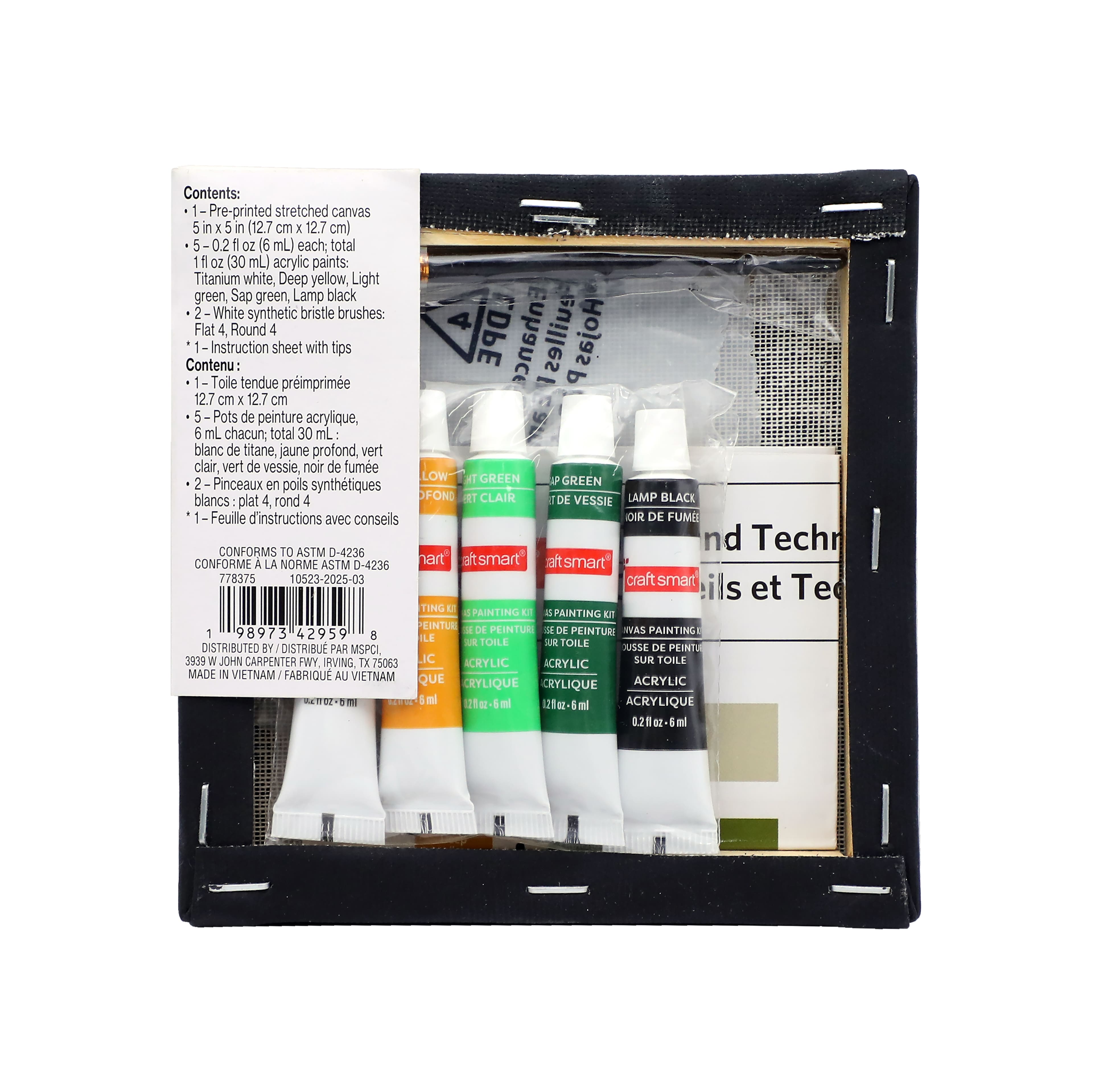 5" x 5" Cat in Web Canvas Painting Kit by Craft Smart®