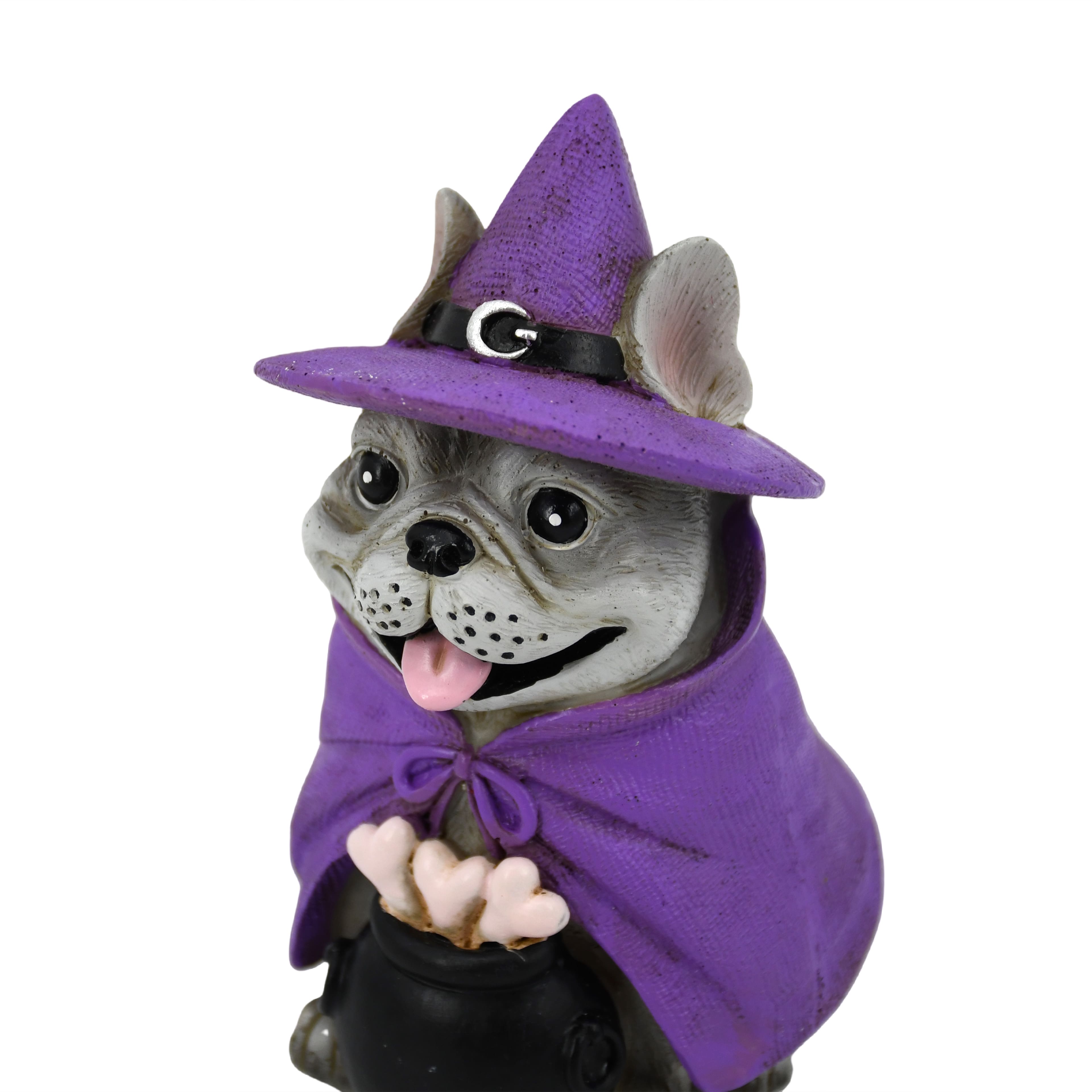 5" Dog in Witch Costume Tabletop Décor by Ashland®