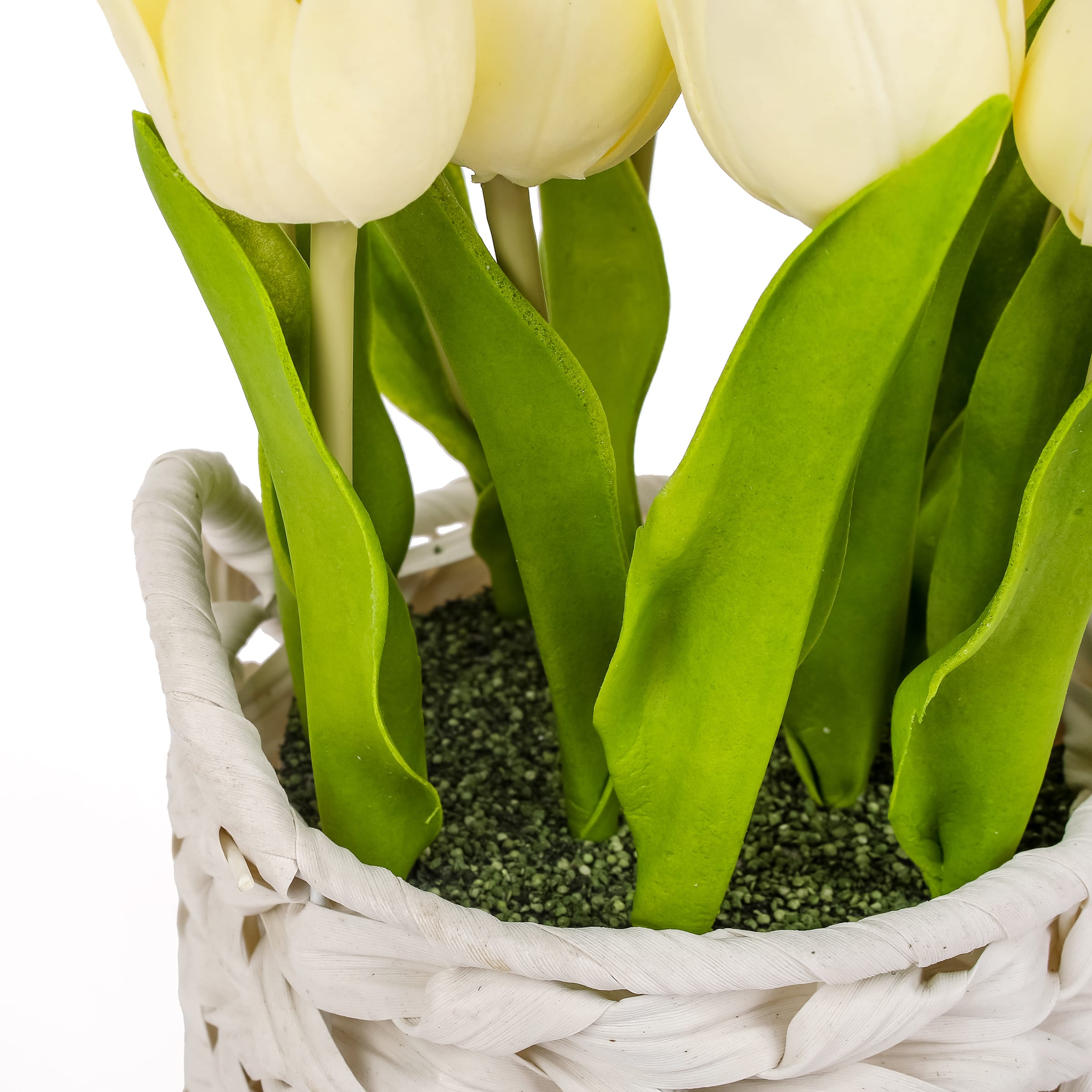 10" Tulip Bouquet in White Basket