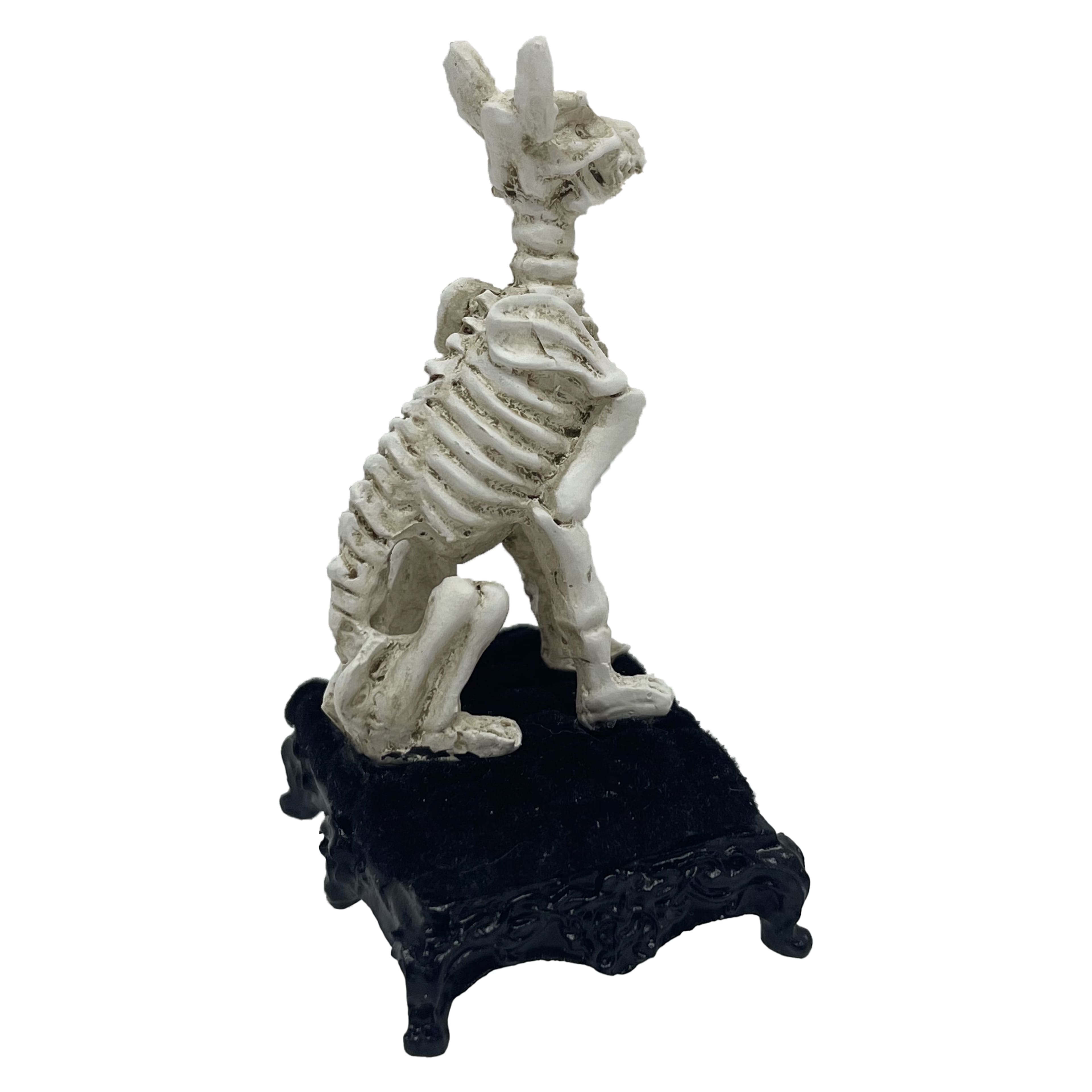 Mini Skeleton Dog by Ashland&#xAE;