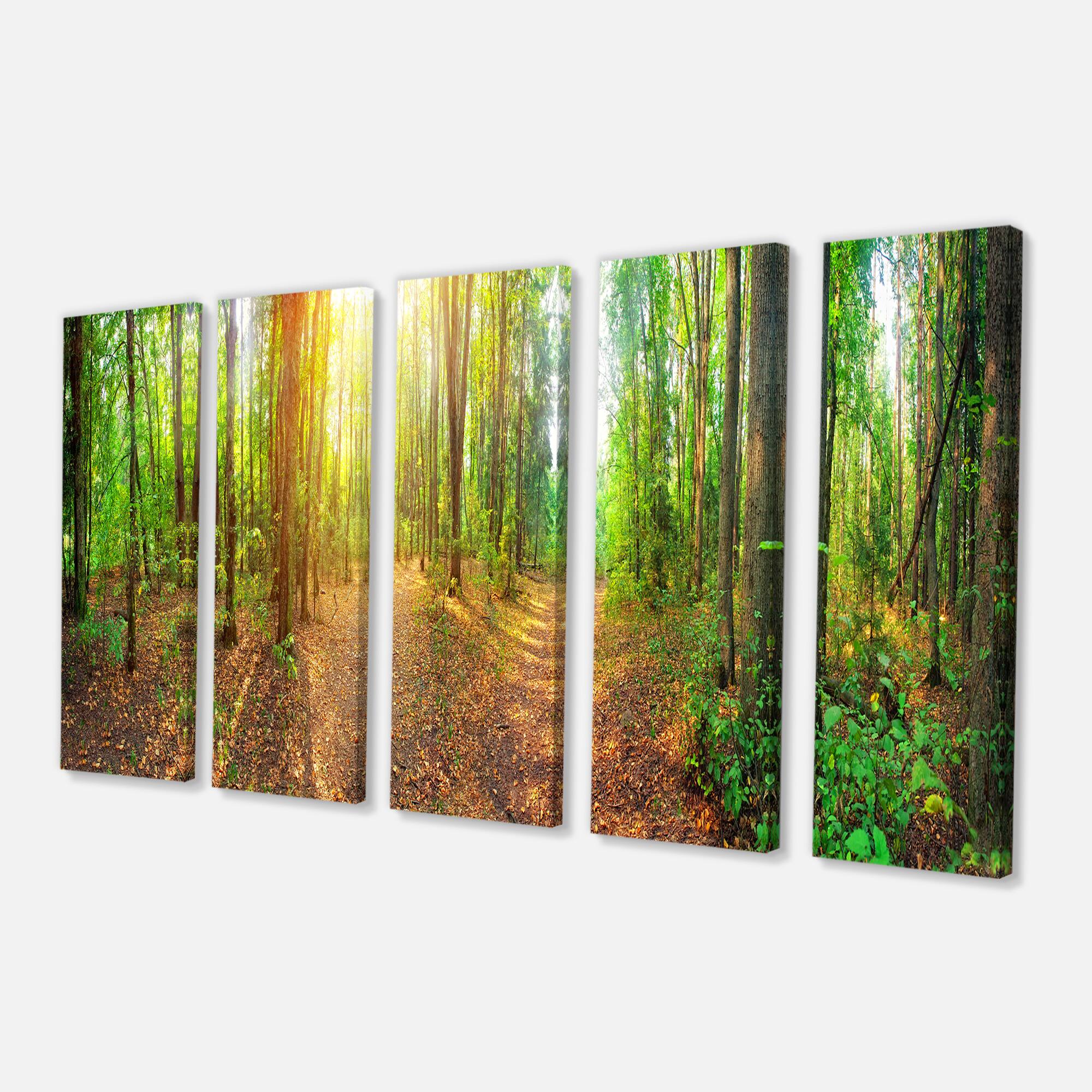 Designart - Dense Forest Panorama - Landscape Canvas Art Print