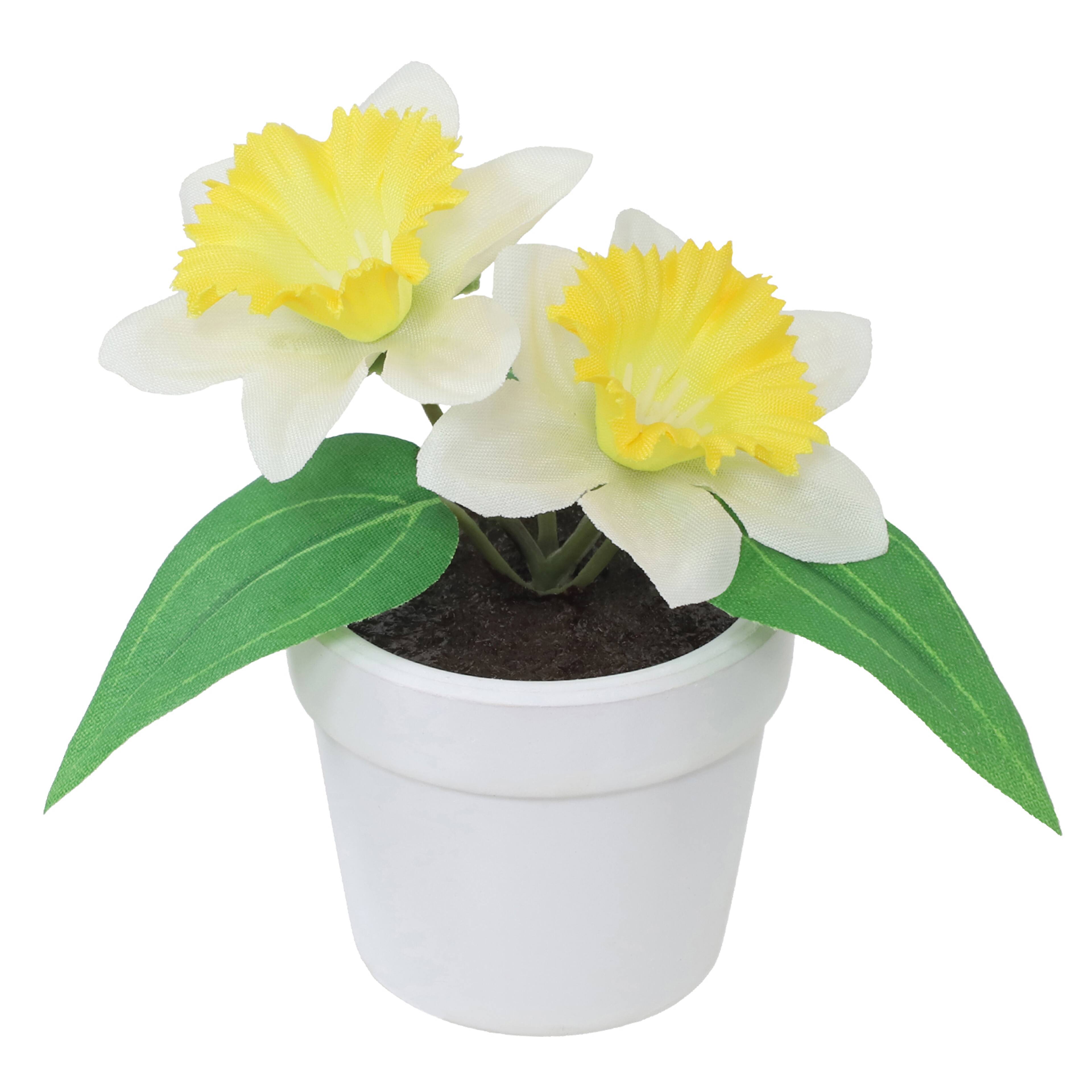 Assorted Micro Premade Flower by Ashland&#xAE;