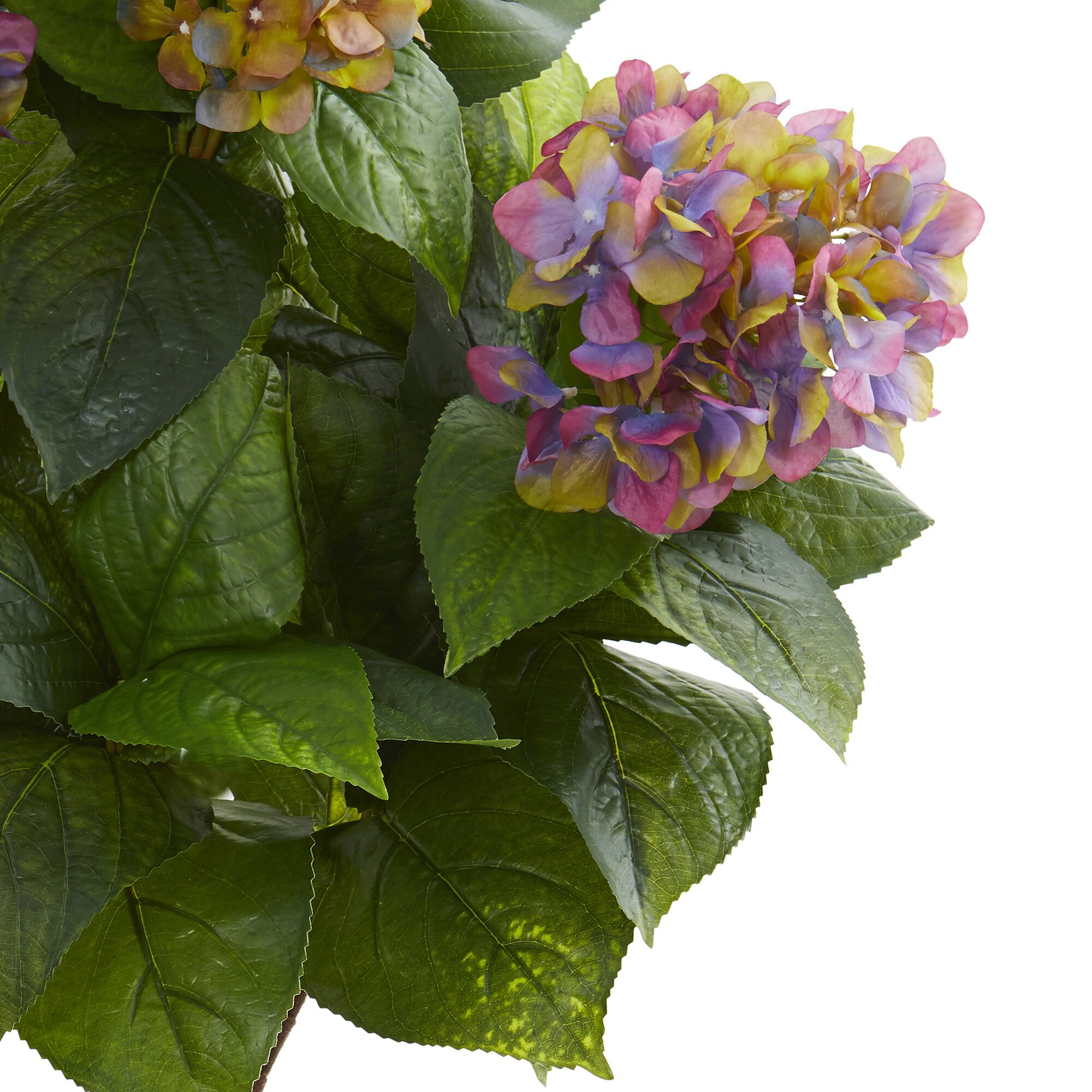 3.5ft. Potted Purple Hydrangea Michaels