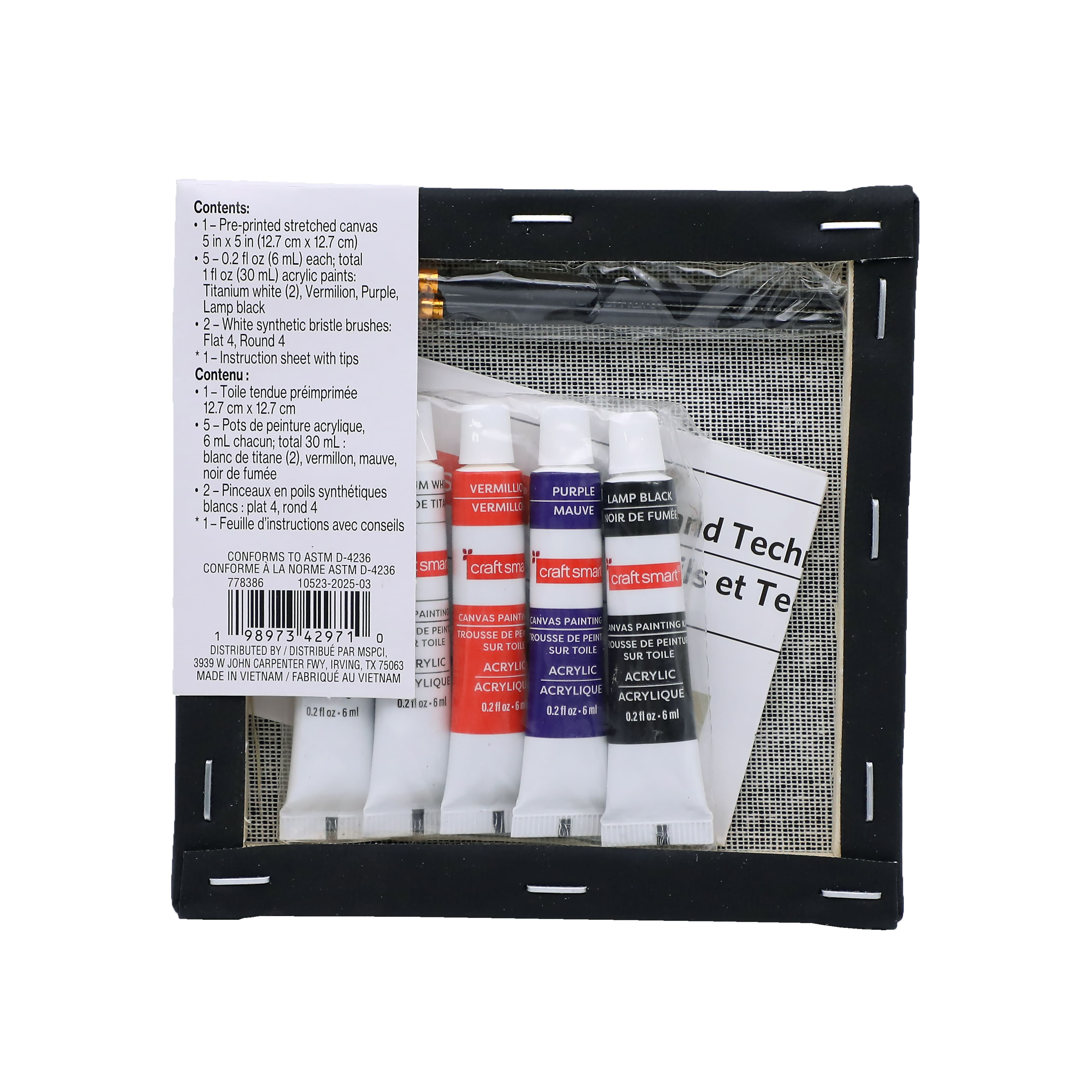 5&#x22; x 5&#x22; Spider in Web Canvas Painting Kit by Craft Smart&#xAE;