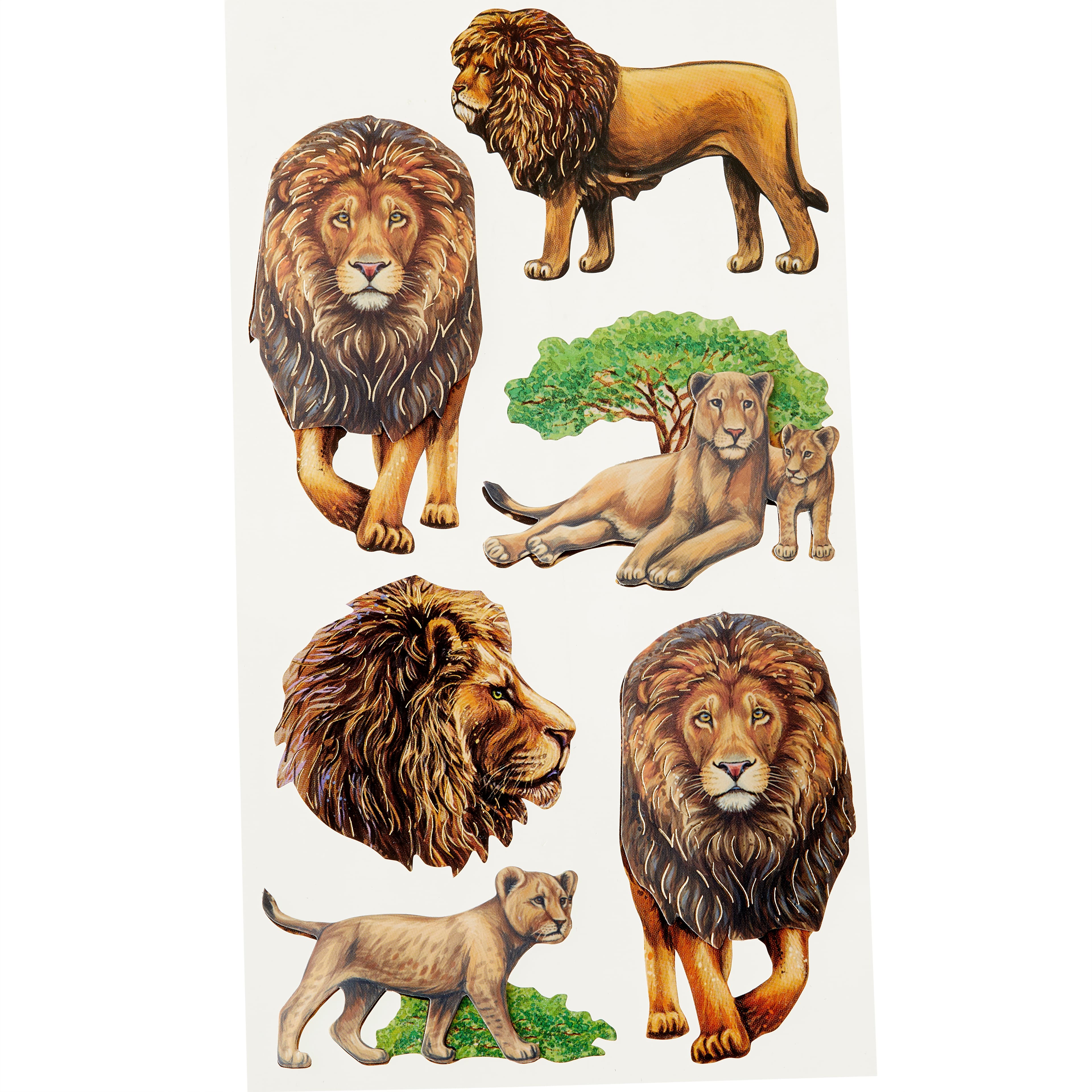 12 Pack: Lion Stickers by Recollections™