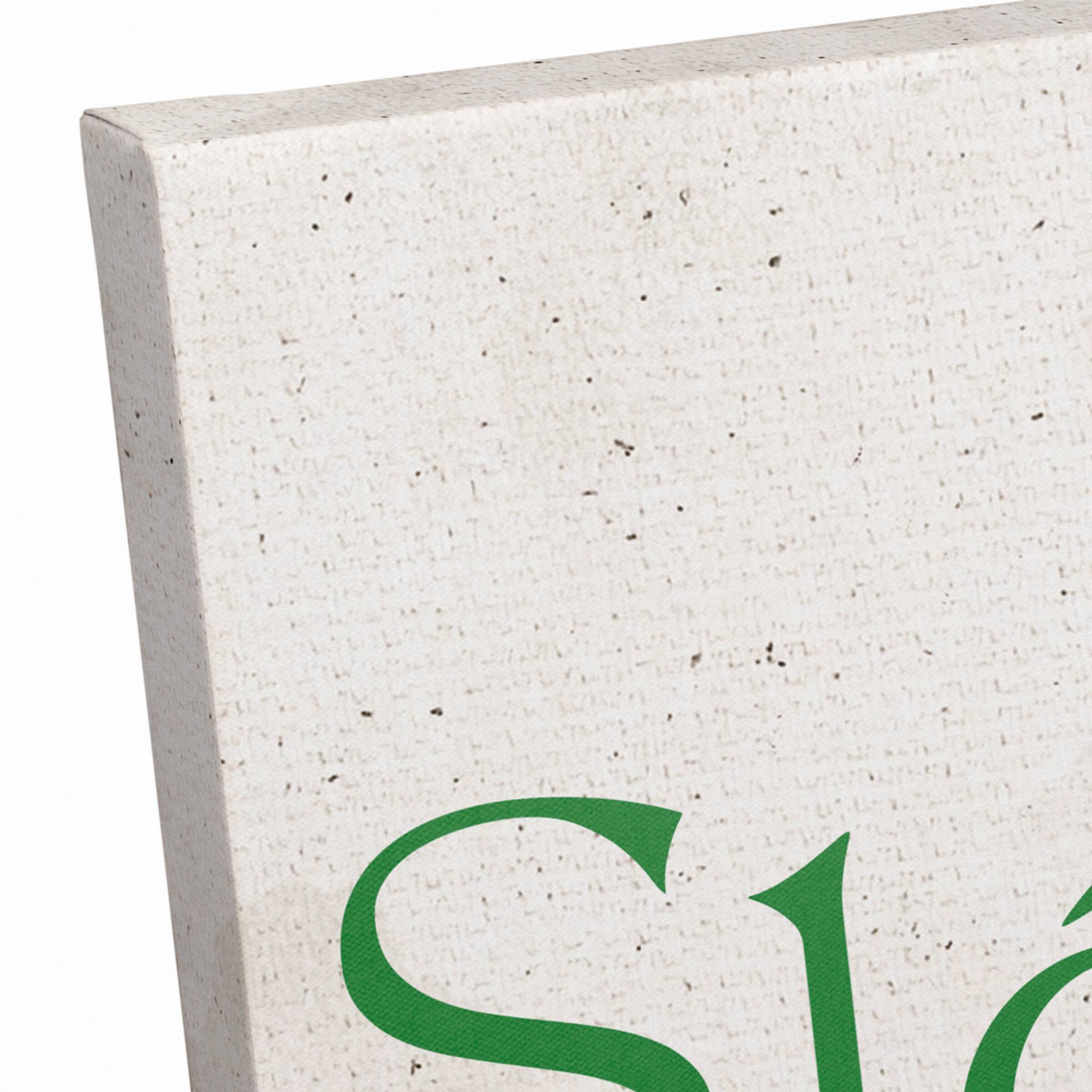 Slainte 18" x 12" Canvas Wall Art