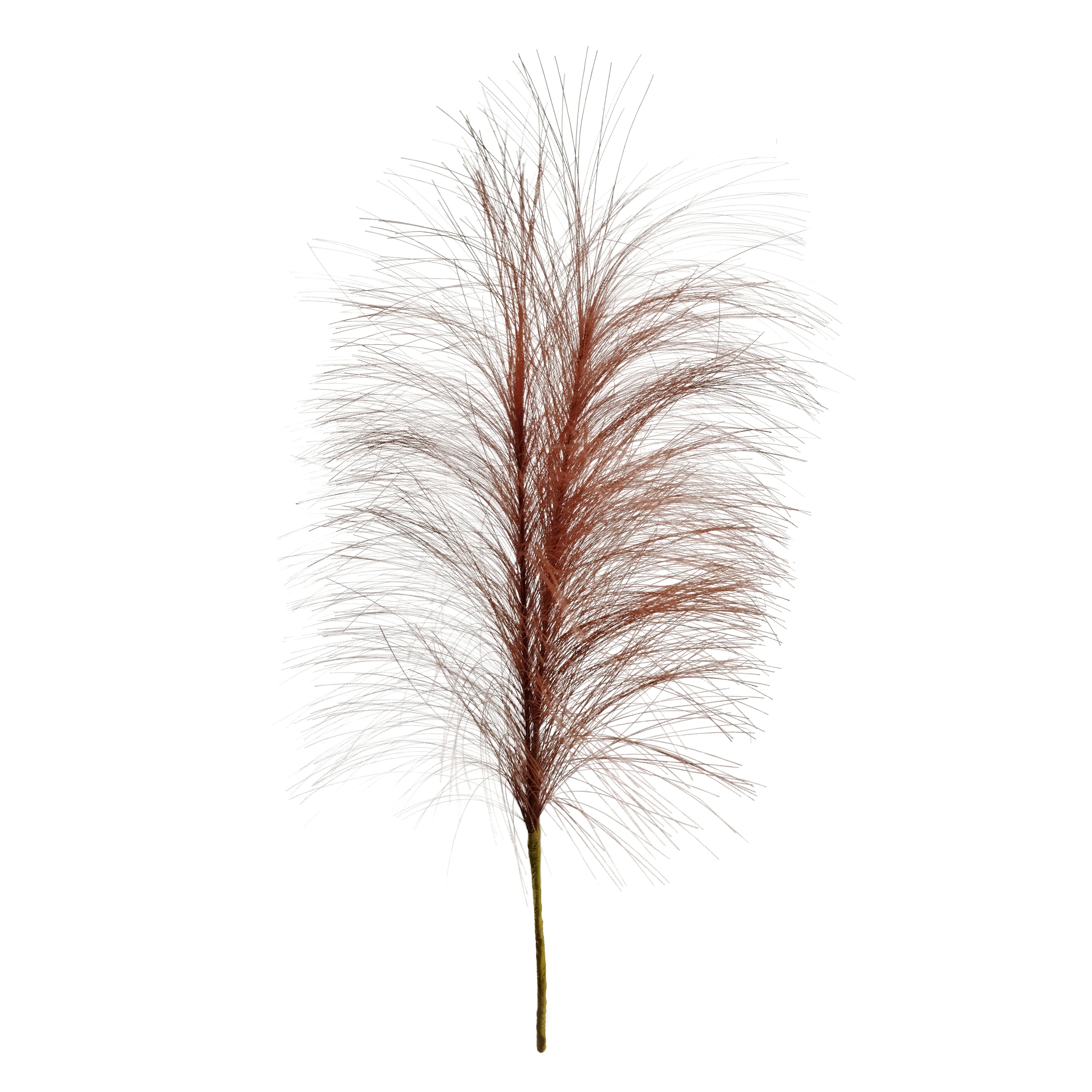 13.5&#x22; Pampas Grass Pick by Ashland&#xAE;