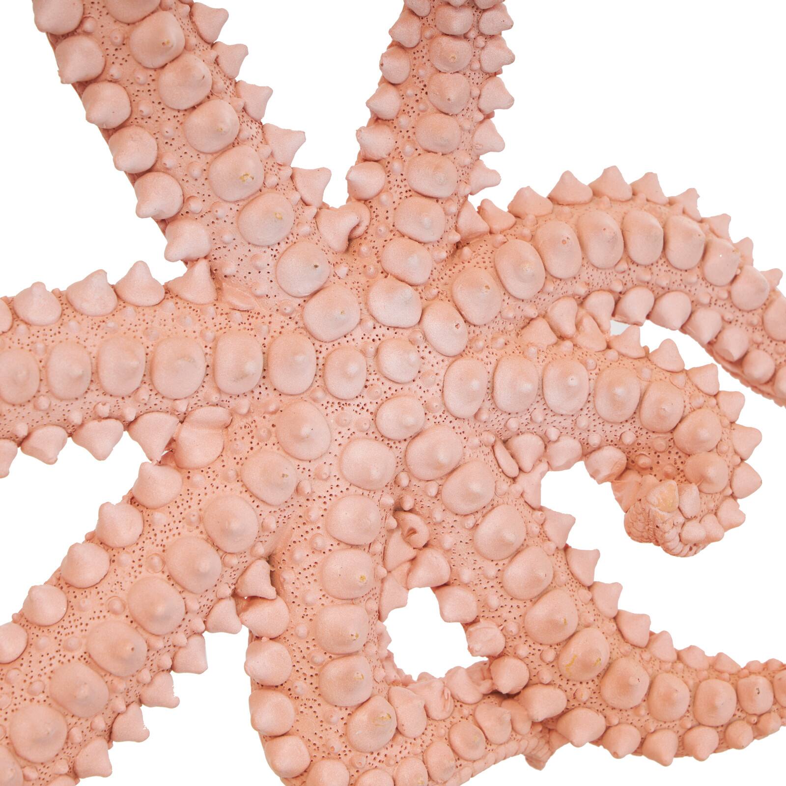 13.5" Pink Polystone Starfish Textured Sculpture with Copper Stand