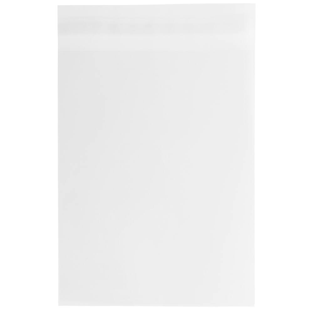 JAM Paper 10" x 13" Clear Cello Sleeve Envelopes, 100ct.