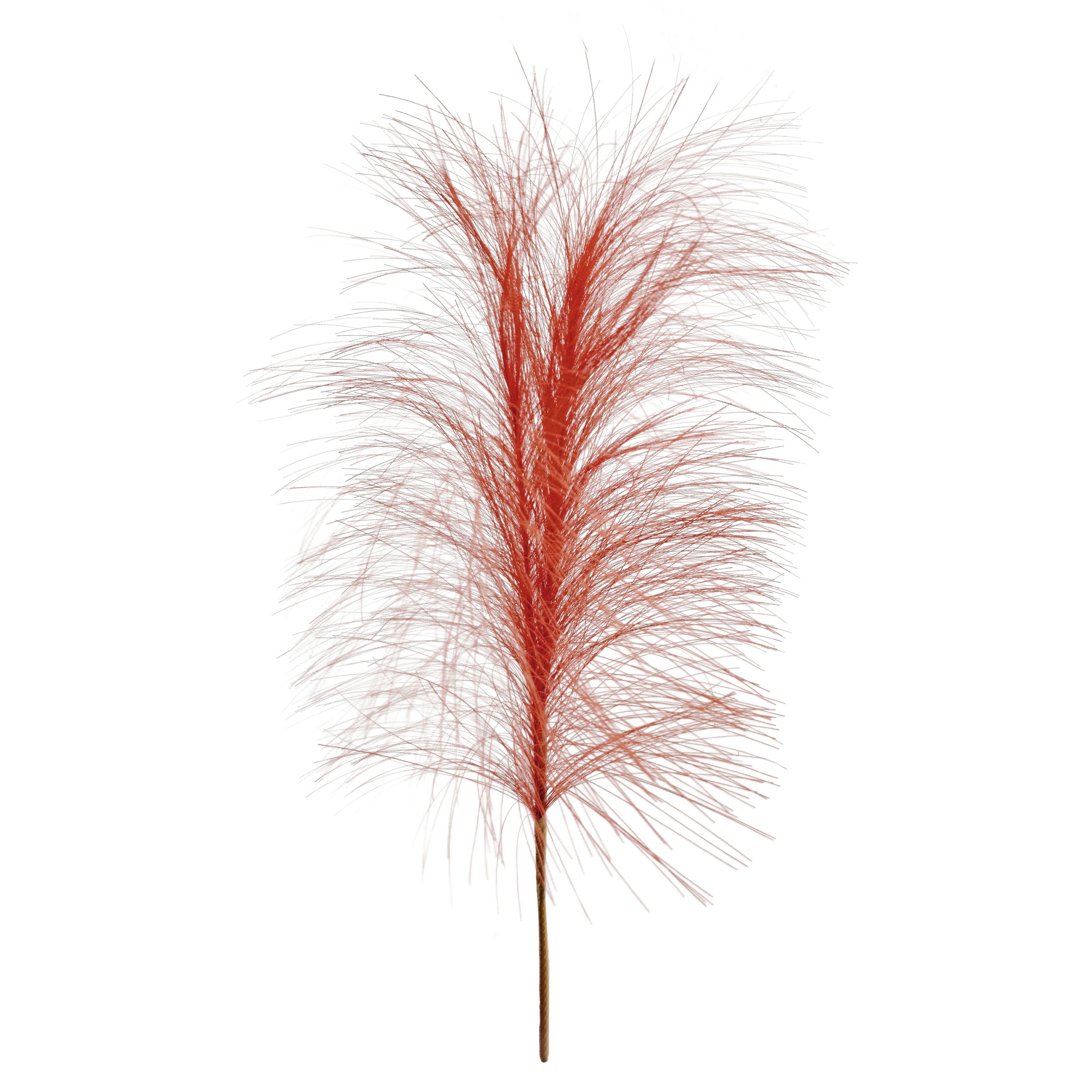 13.5&#x22; Pampas Grass Pick by Ashland&#xAE;