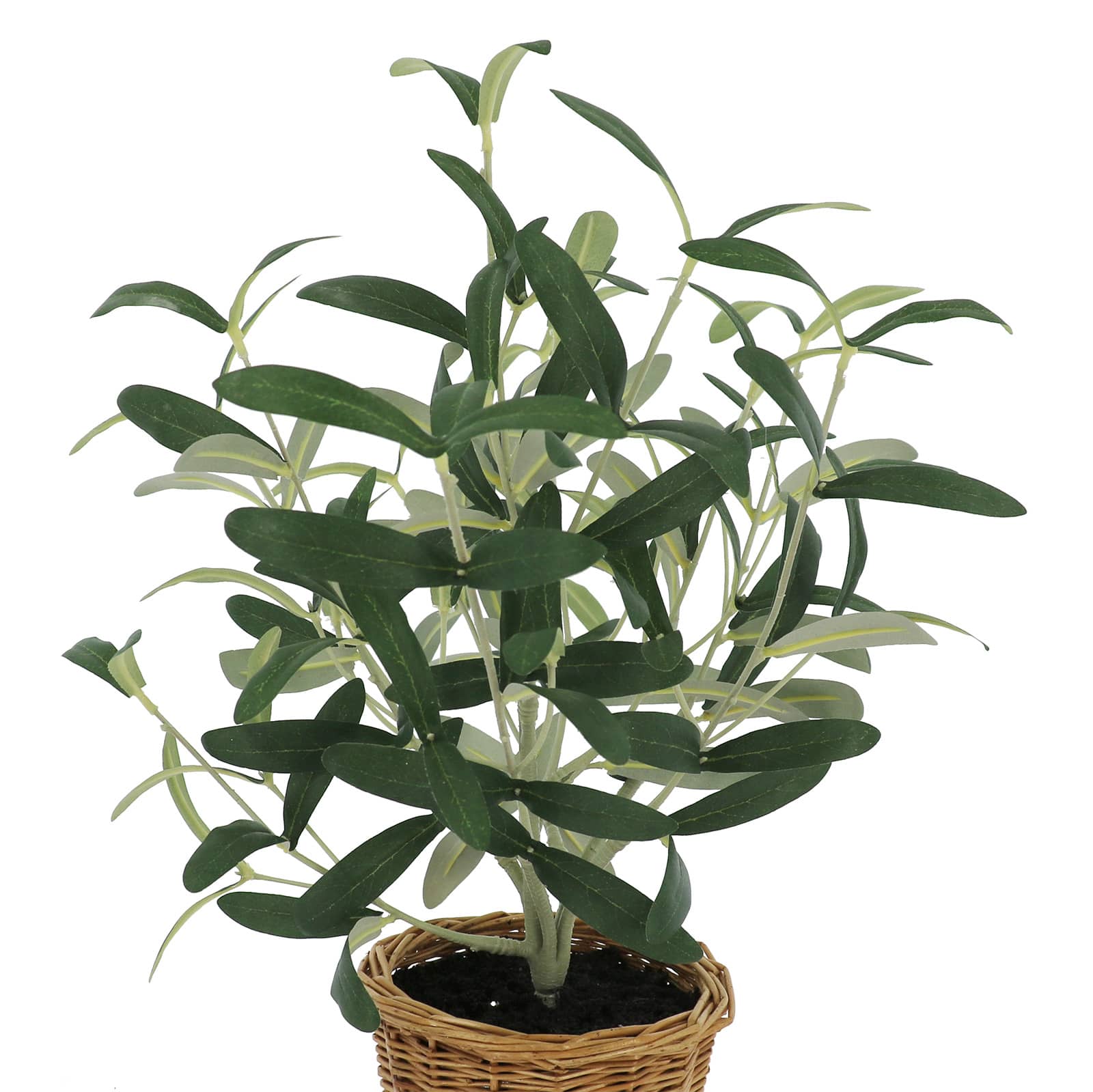 16&#x22; Olive Leaf Bush in Rattan Basket by Ashland&#xAE;